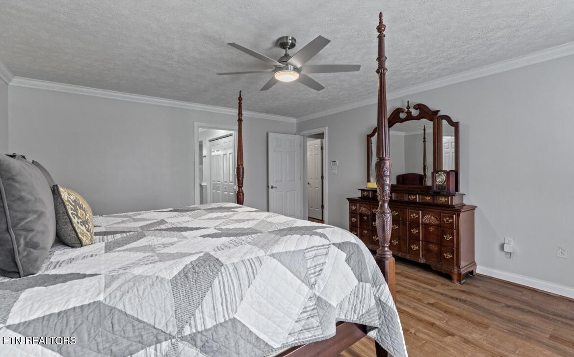 2041 Witt Road White Pine TN 37890