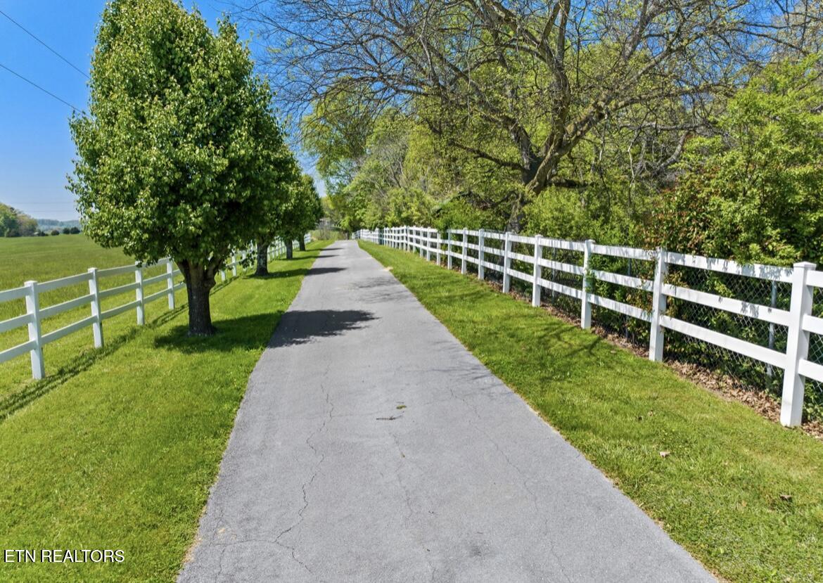 2041 Witt Road White Pine TN 37890