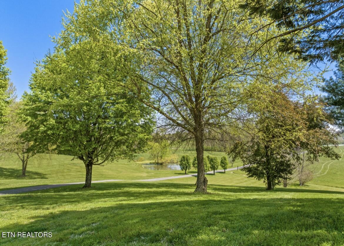 2041 Witt Road White Pine TN 37890