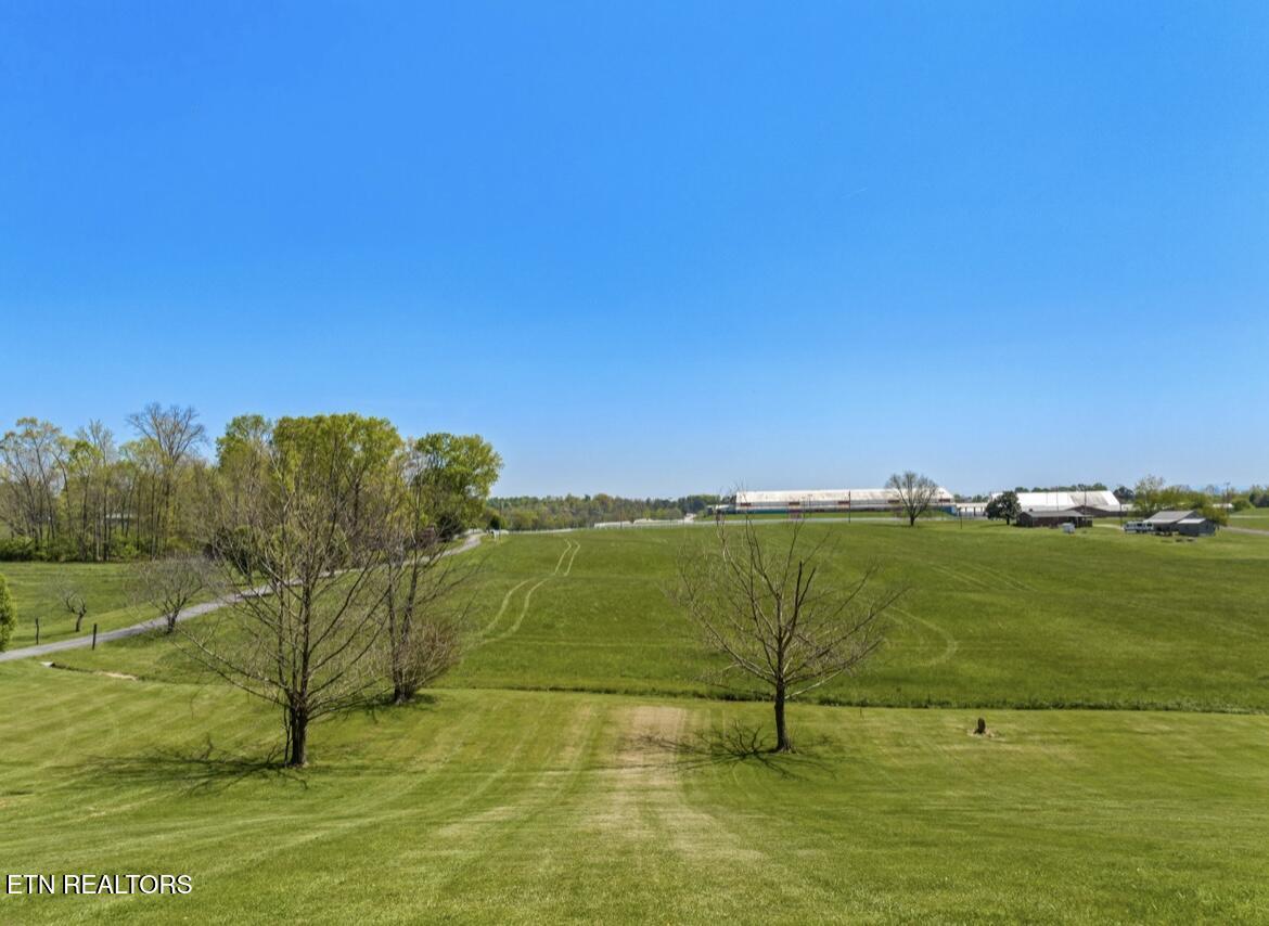 2041 Witt Road White Pine TN 37890