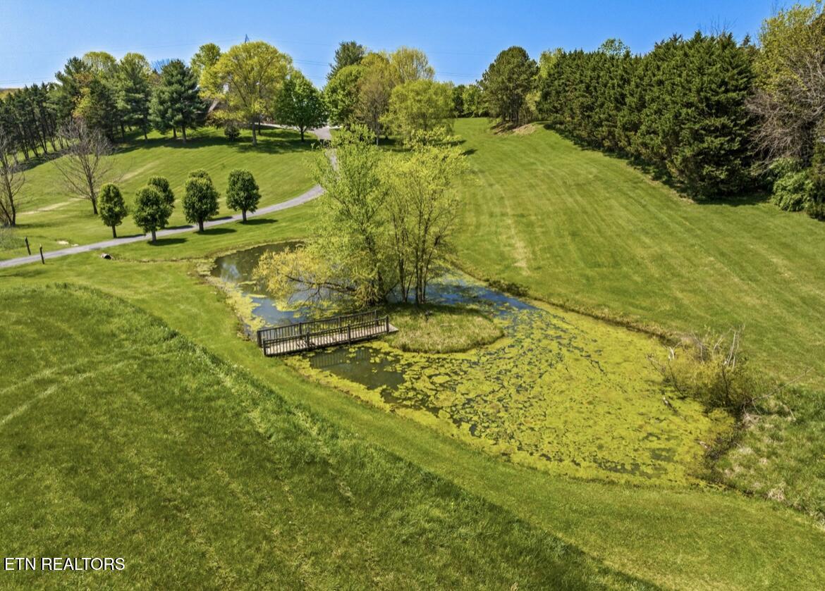 2041 Witt Road White Pine TN 37890