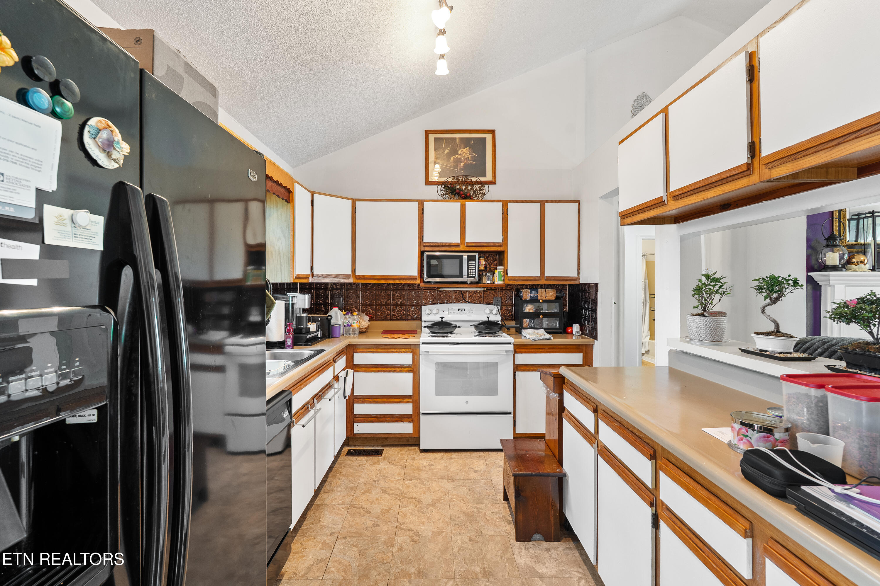 6609 Springer Drive Knoxville TN 37918