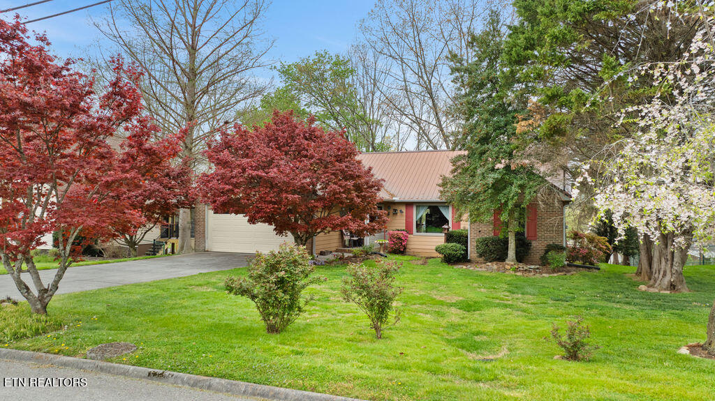 6609 Springer Drive Knoxville TN 37918