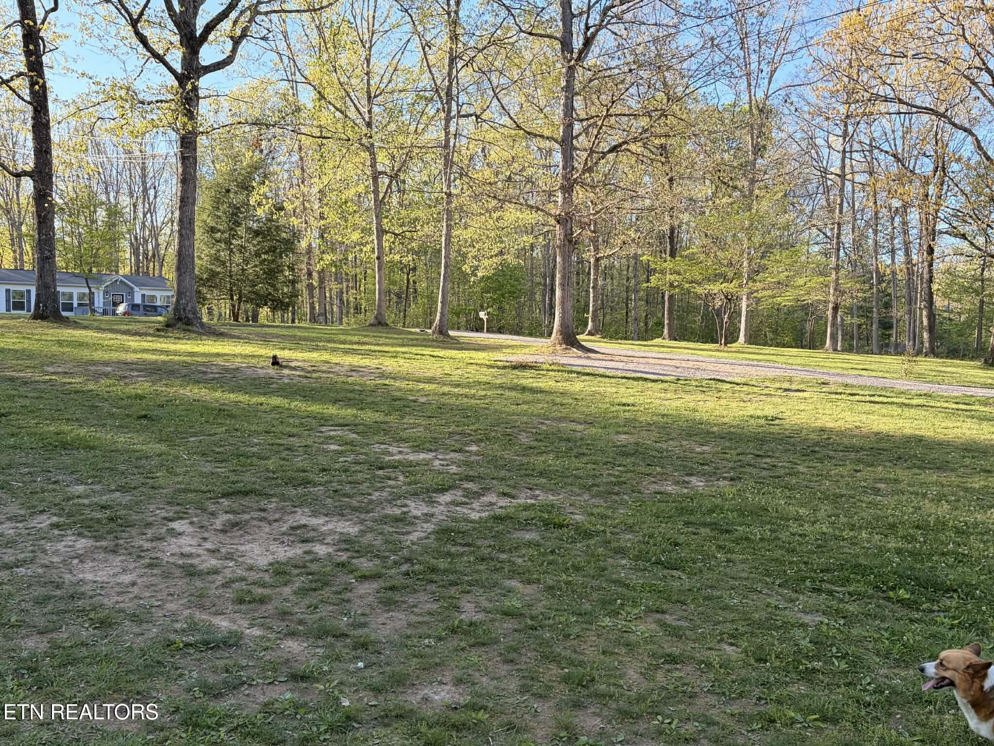533 Robbins Road Crossville TN 38572