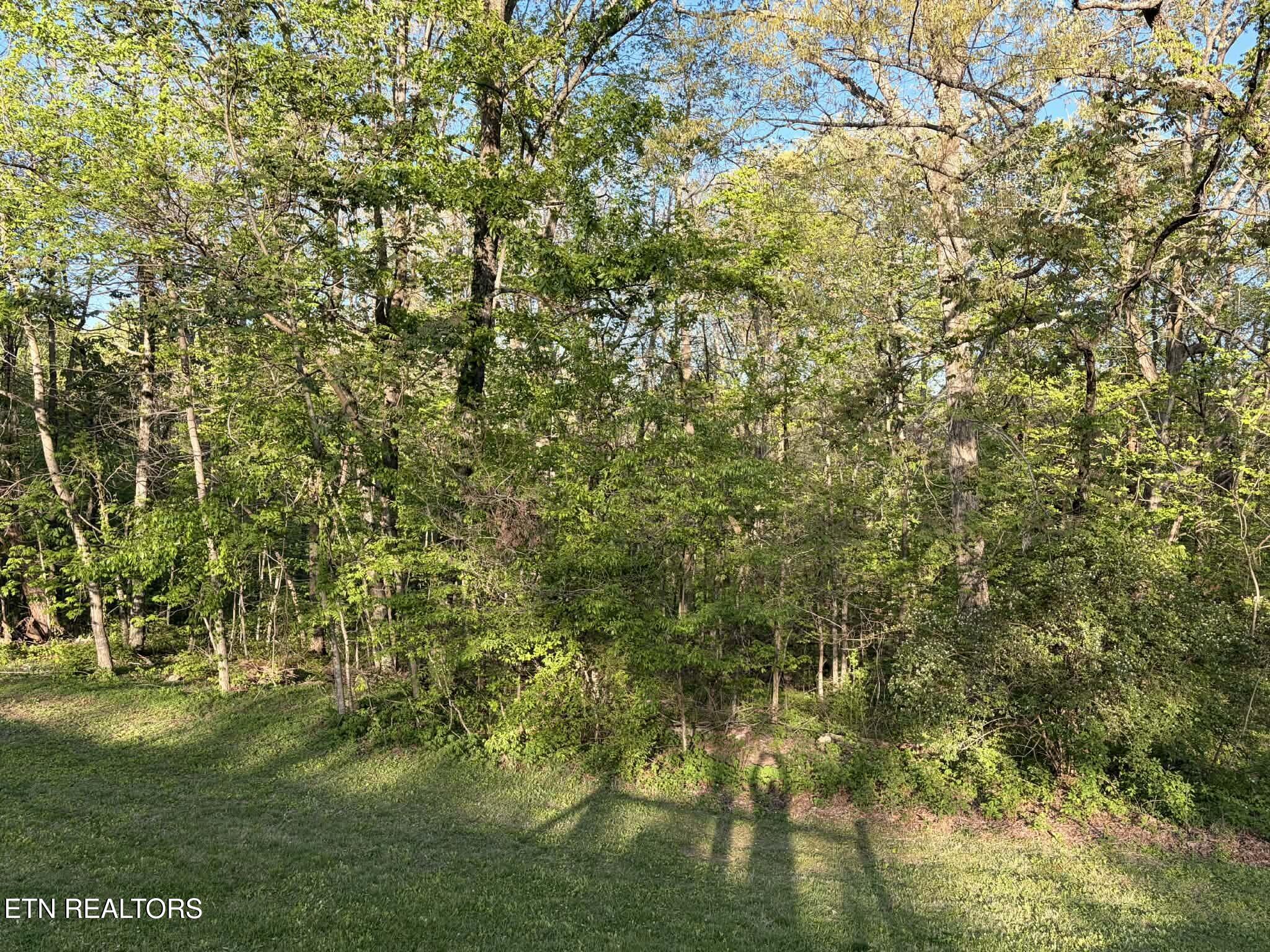 533 Robbins Road Crossville TN 38572