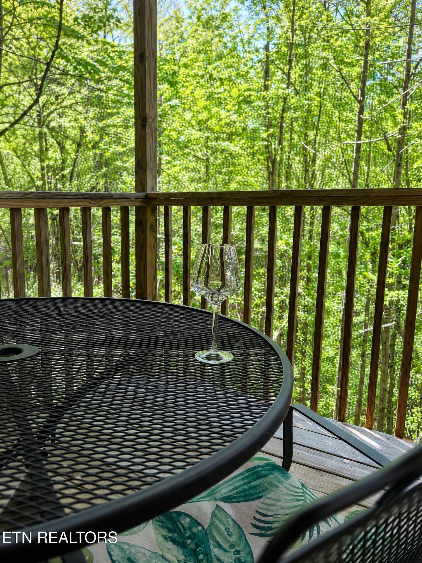 1805 Cherry View Lane Sevierville TN 37876