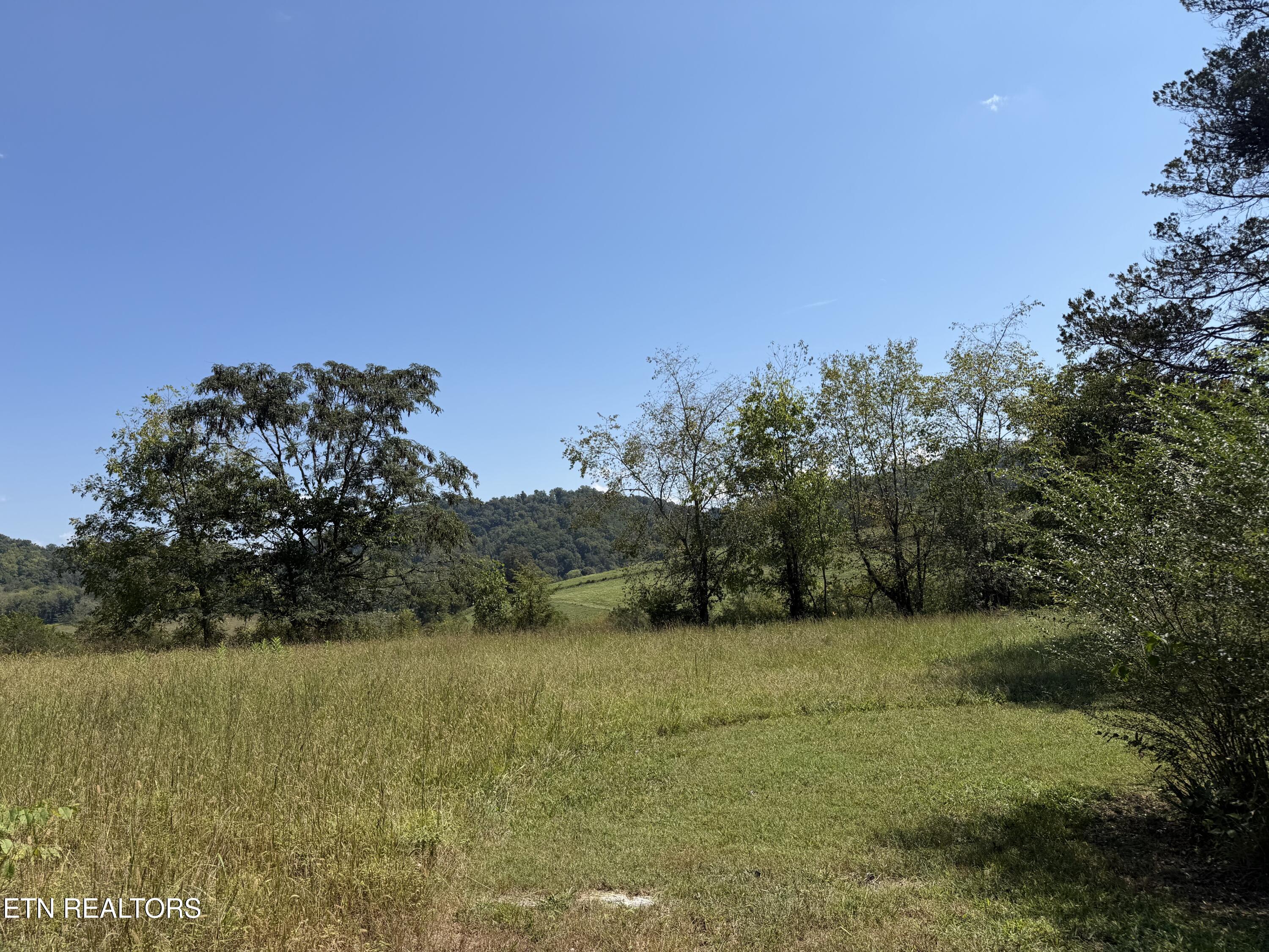 196 Bailey Hollow Road Tazewell TN 37879