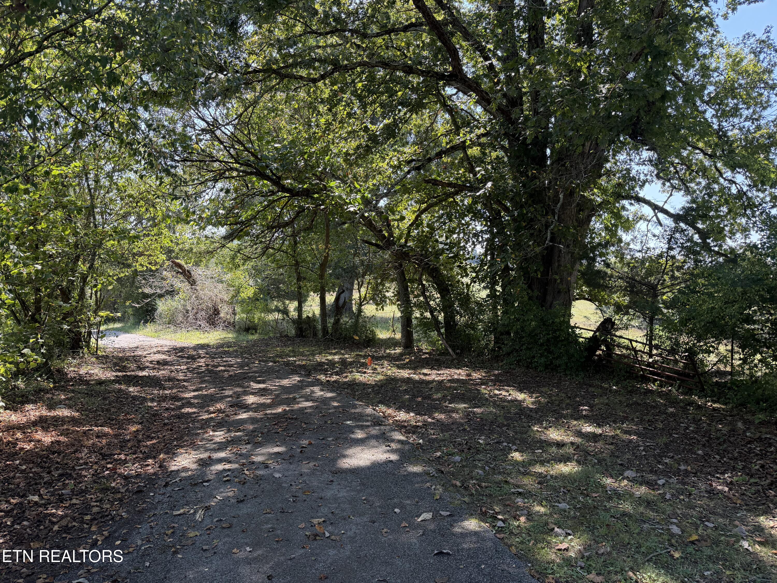 196 Bailey Hollow Road Tazewell TN 37879