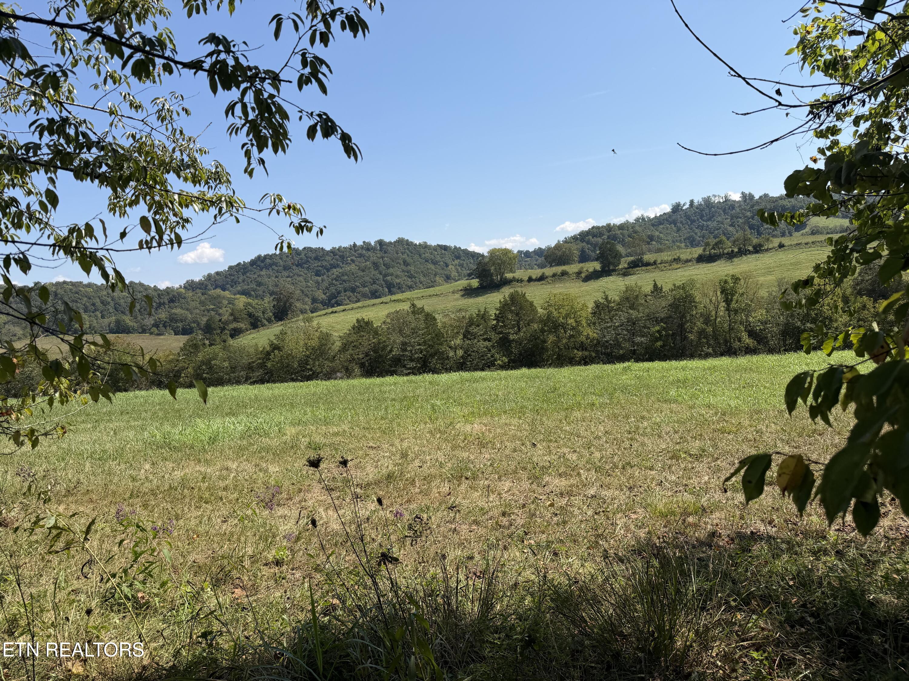 196 Bailey Hollow Road Tazewell TN 37879