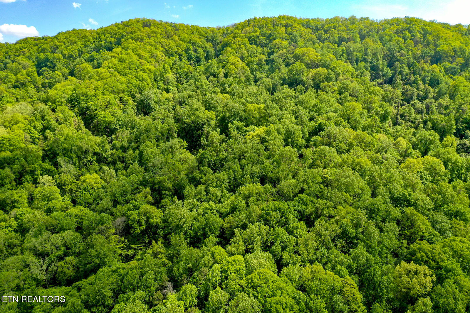 6259 Tennessee 131 Washburn TN 37888