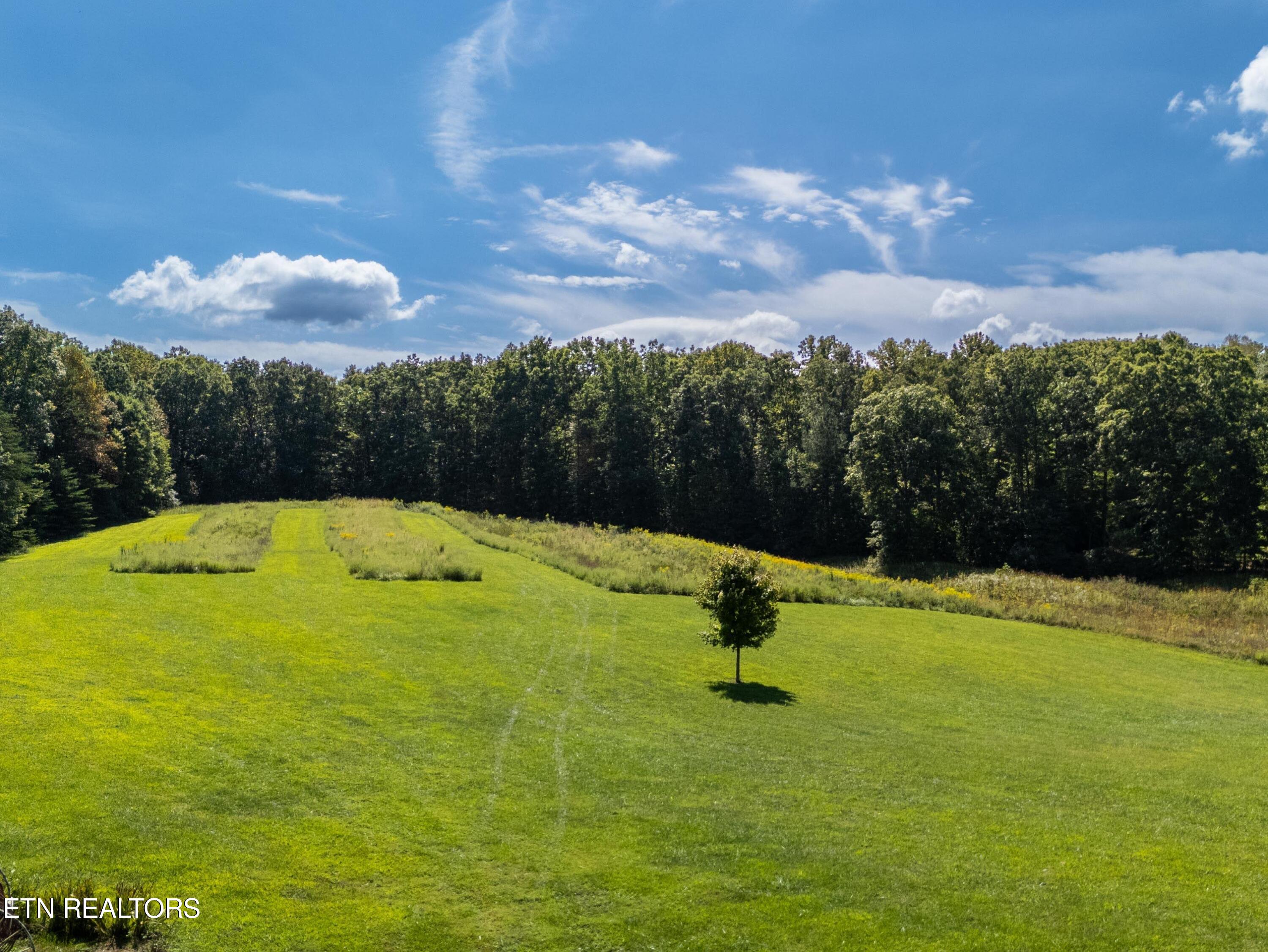 146 Davidson Lane Crossville TN 38571