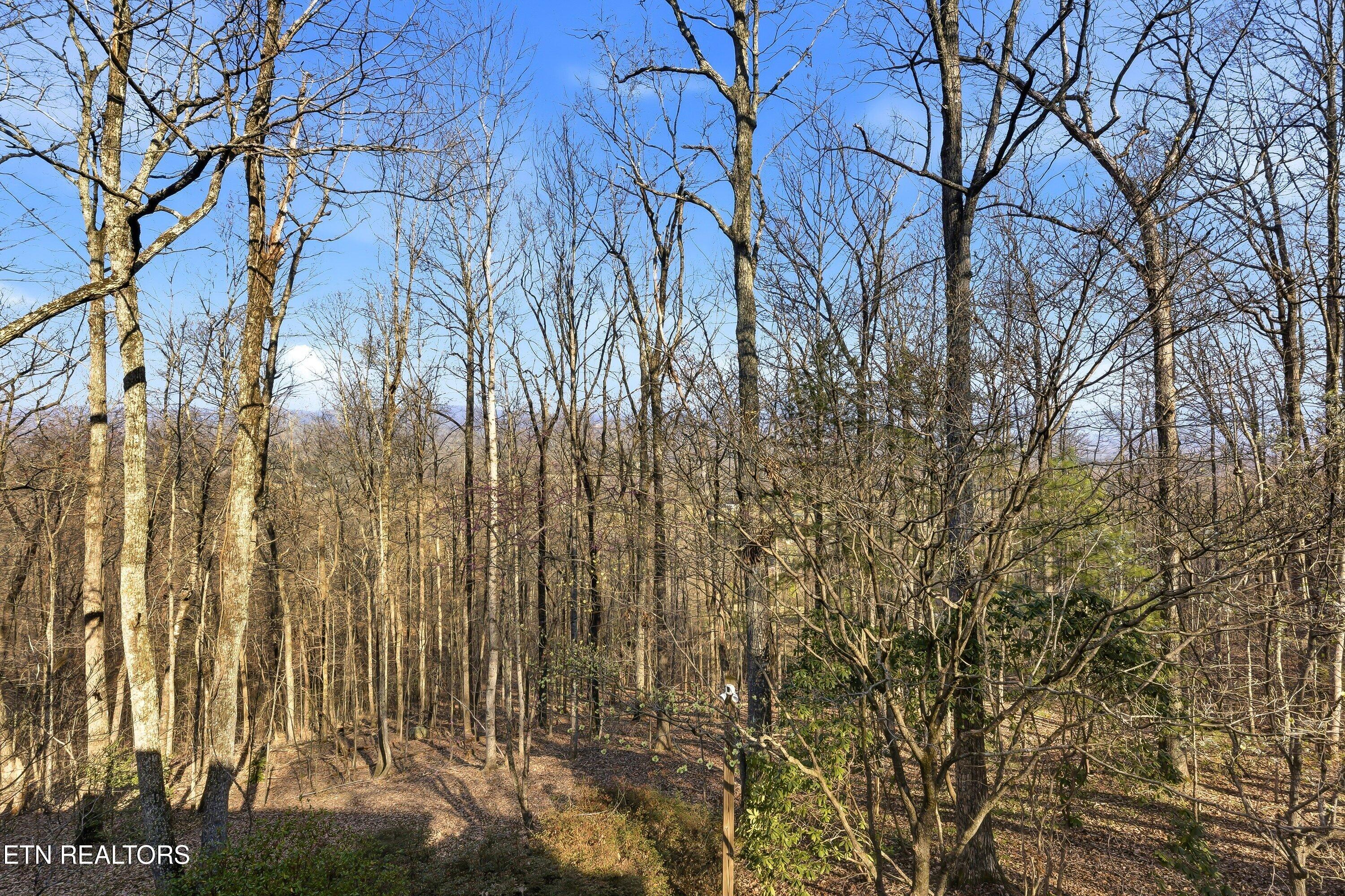 152 Whippoorwill Drive Oak Ridge TN 37830