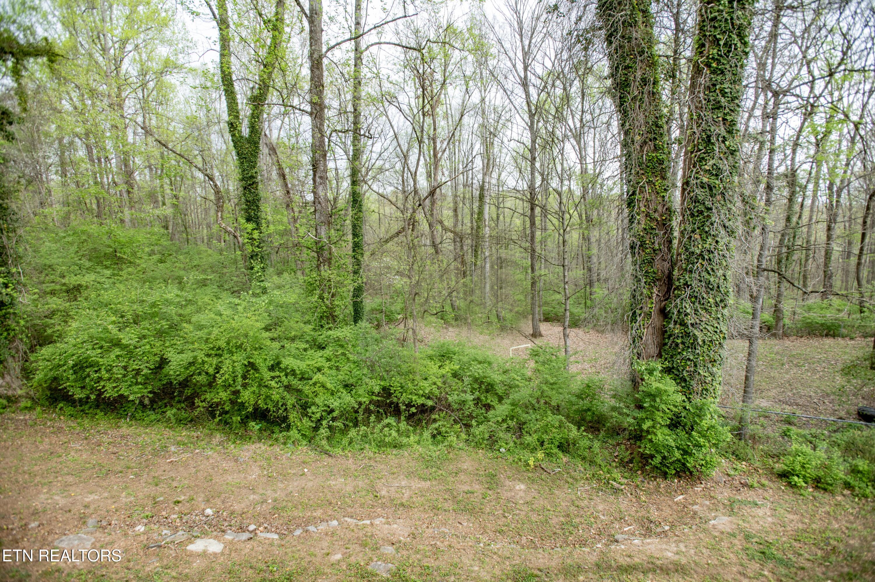 112 Andover Circle Oak Ridge TN 37830