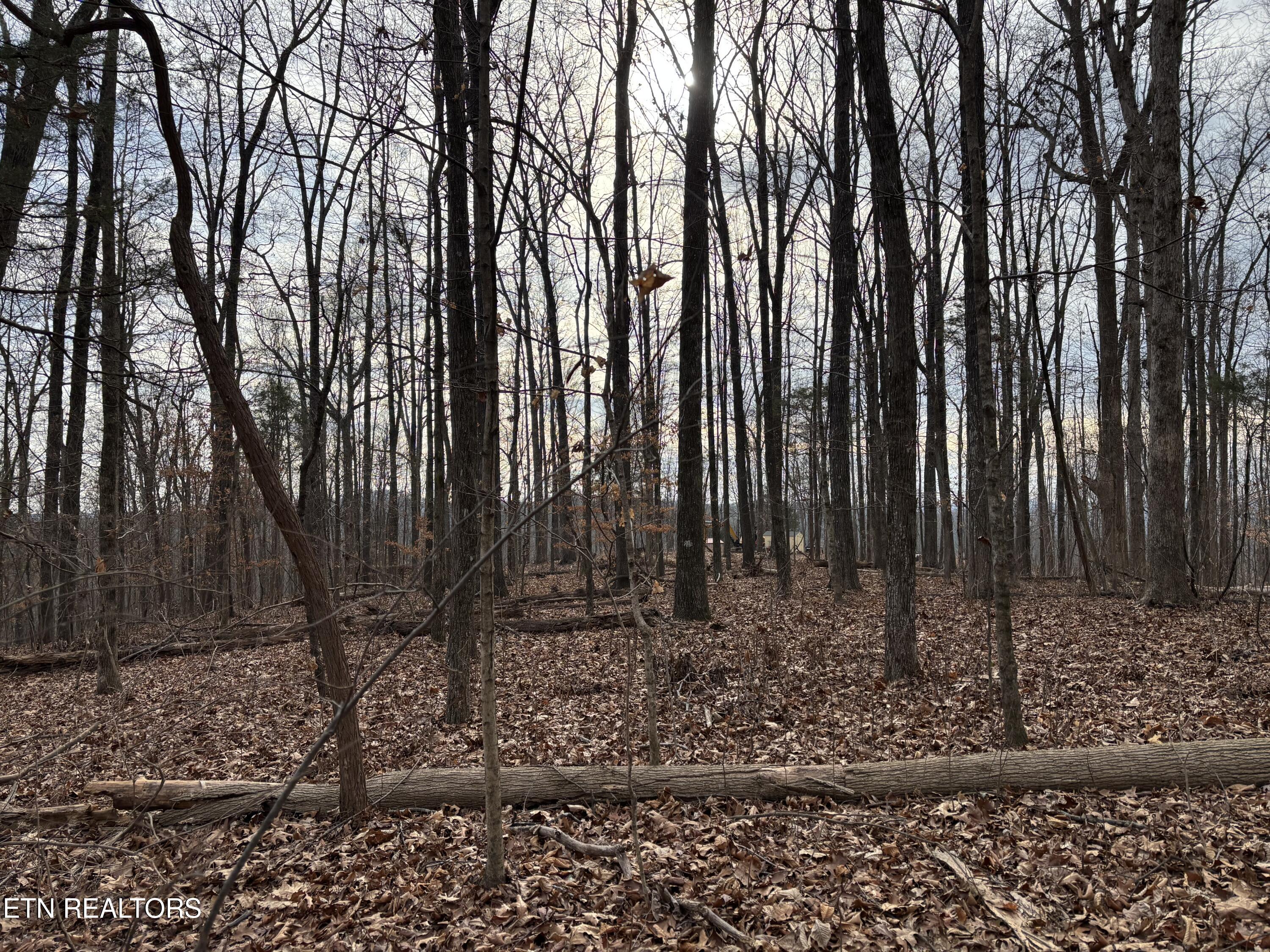 365 County Road 38 Riceville TN 37370