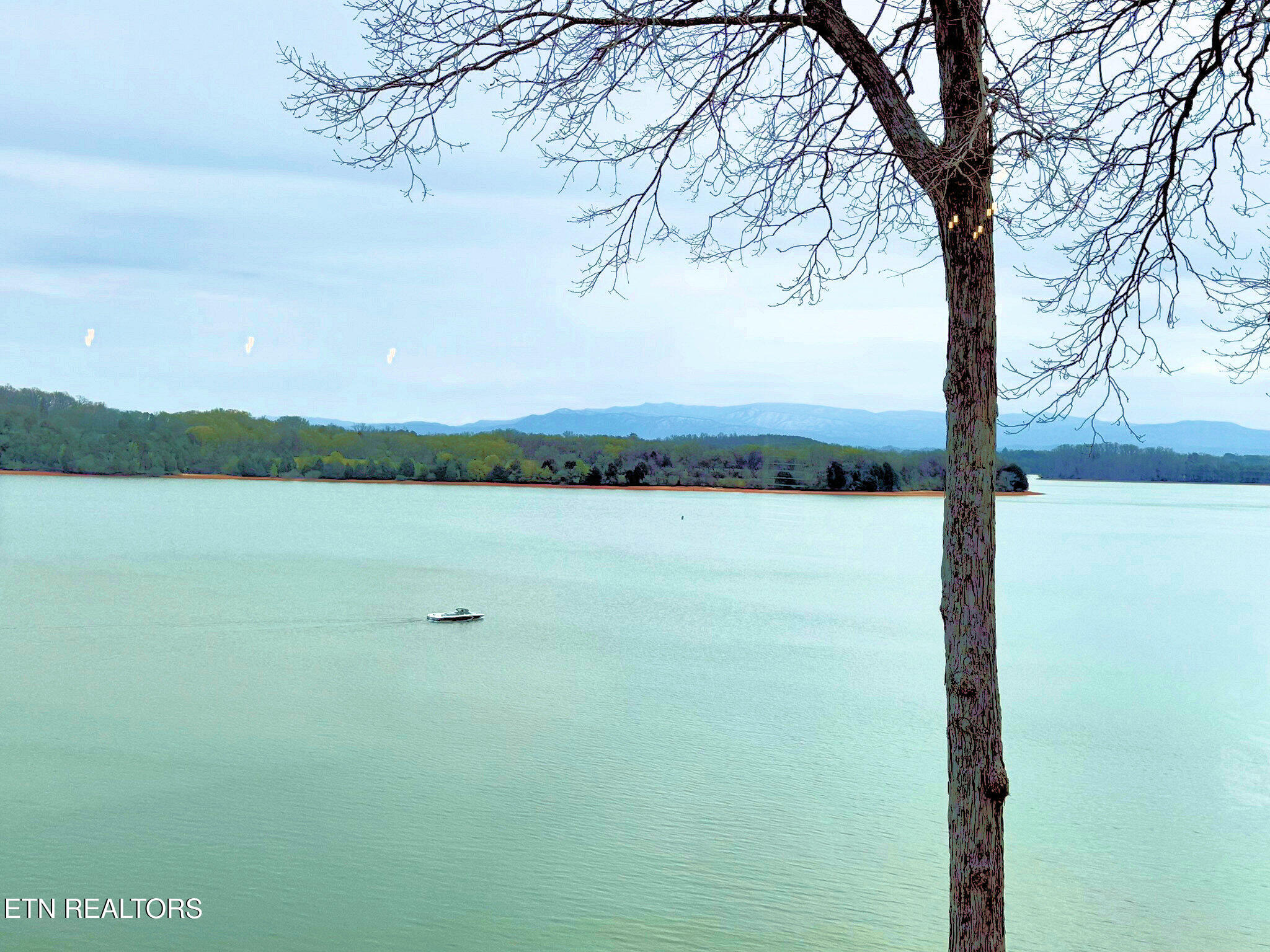 275 Rock Point Drive Vonore TN 37885