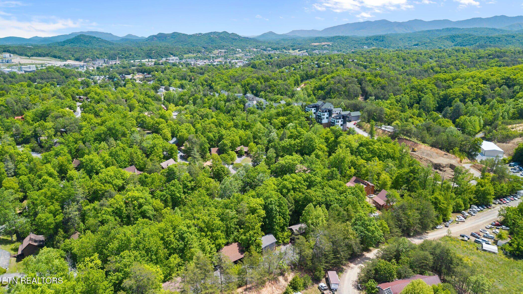 746 Nighthawk Way Pigeon Forge TN 37863