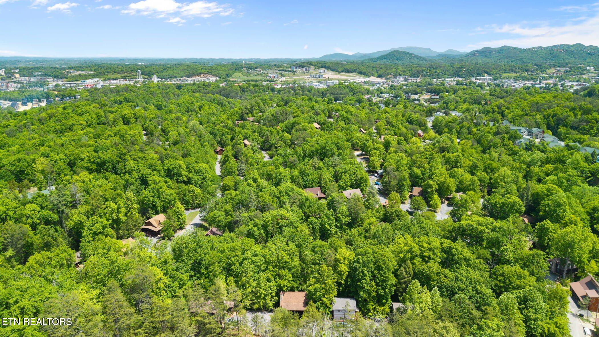 746 Nighthawk Way Pigeon Forge TN 37863