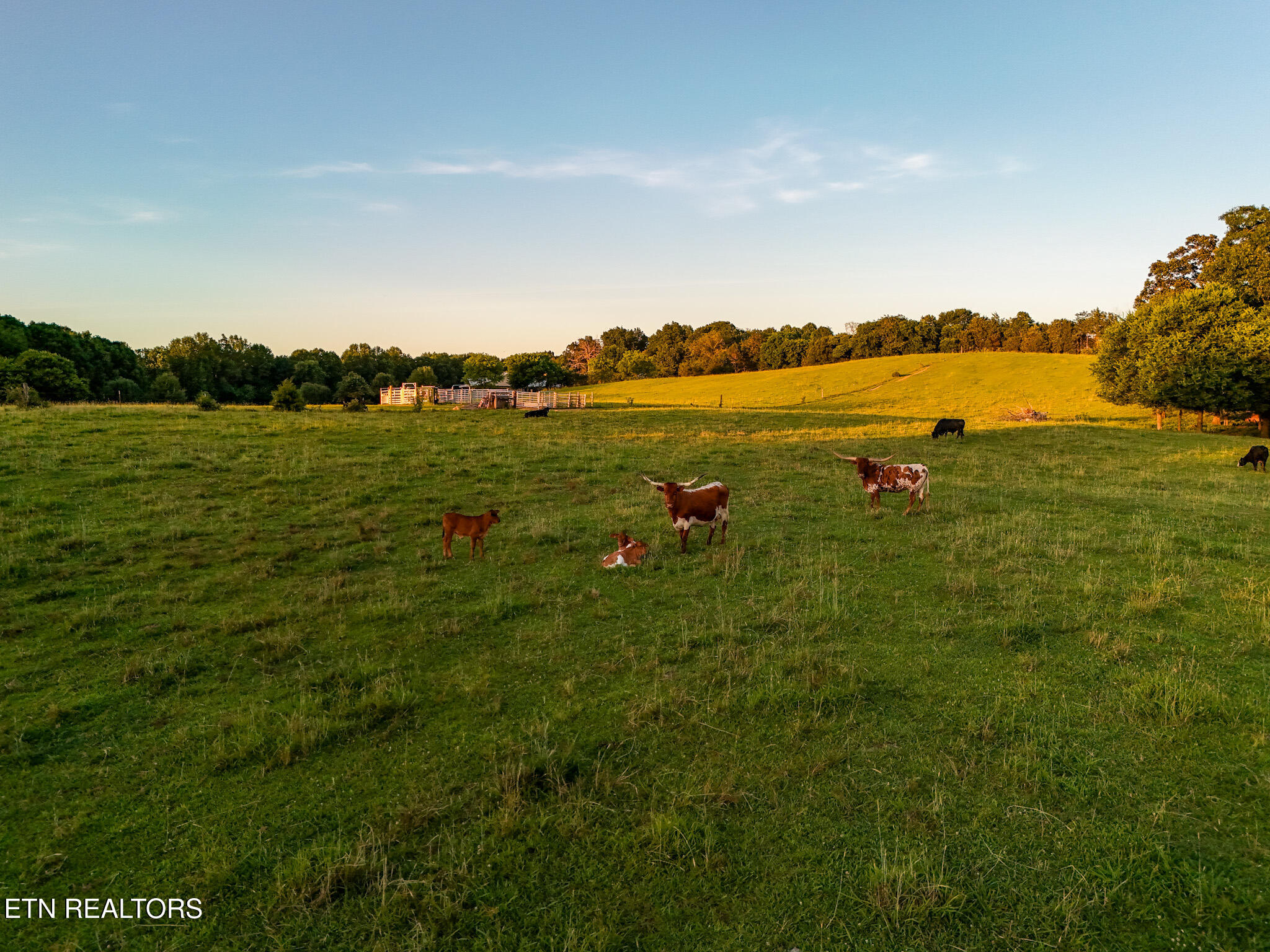444 Highway 309 Niota TN 37826