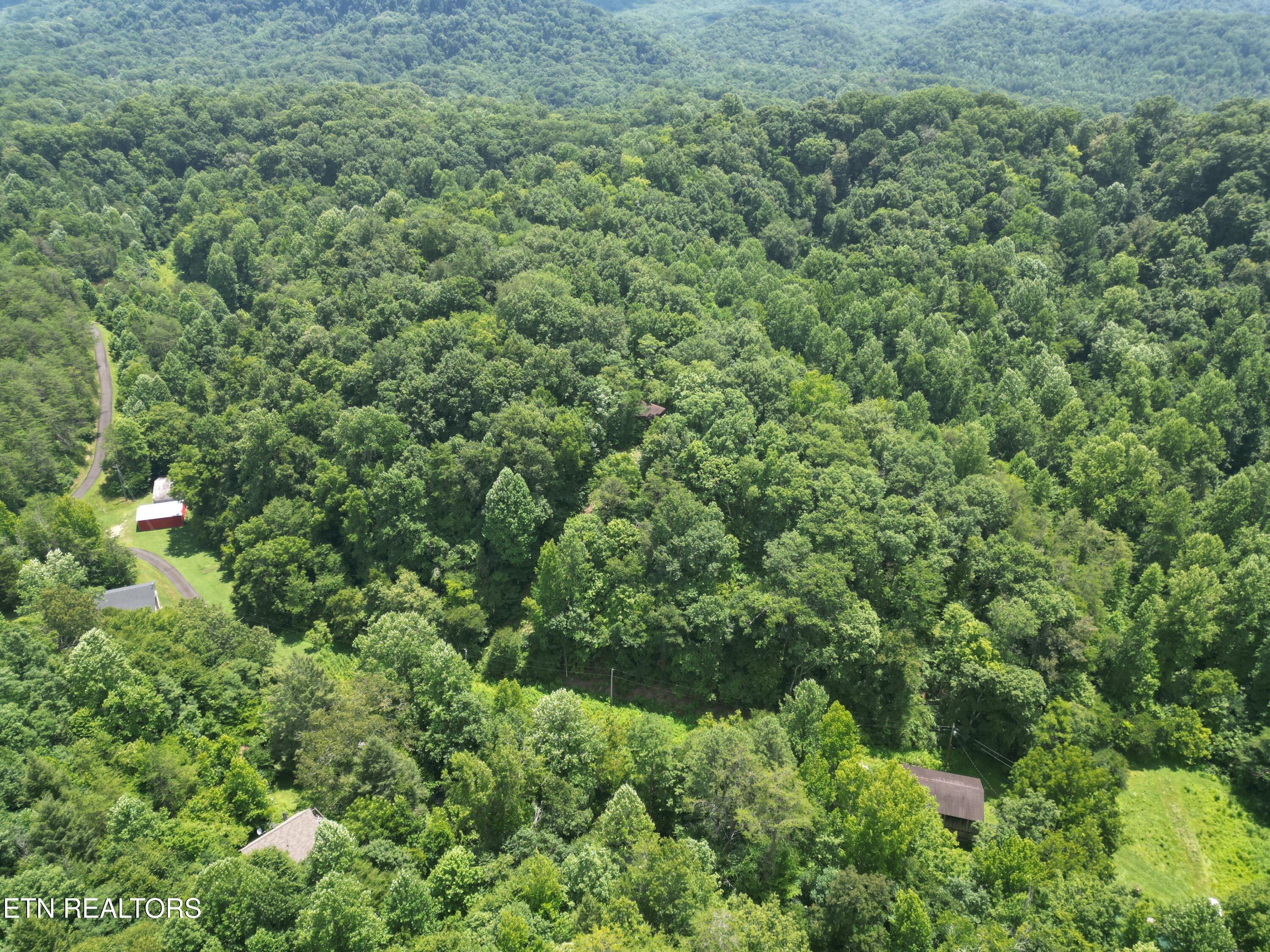 1566 Hawk Lane Seymour TN 37865
