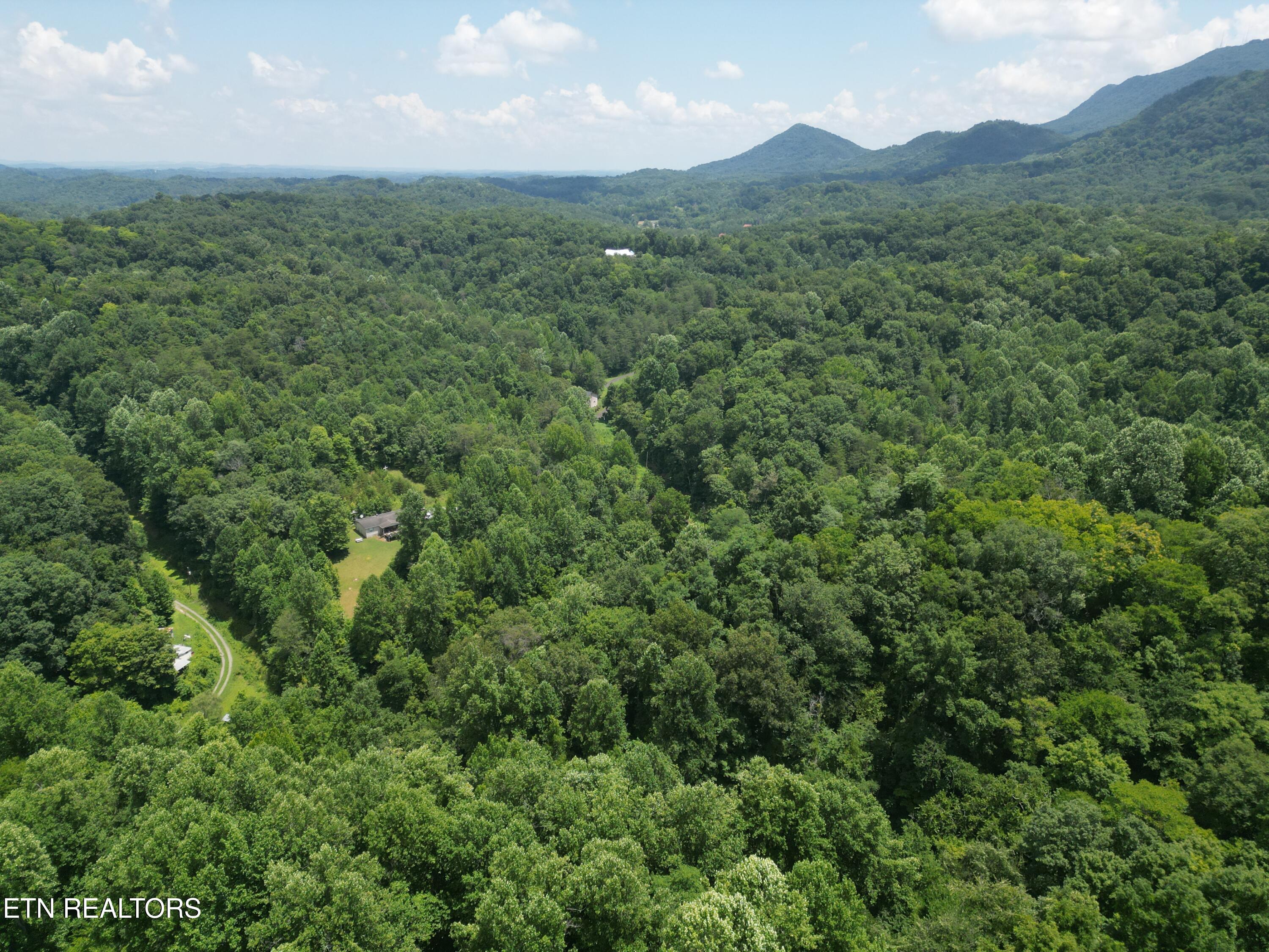 1566 Hawk Lane Seymour TN 37865