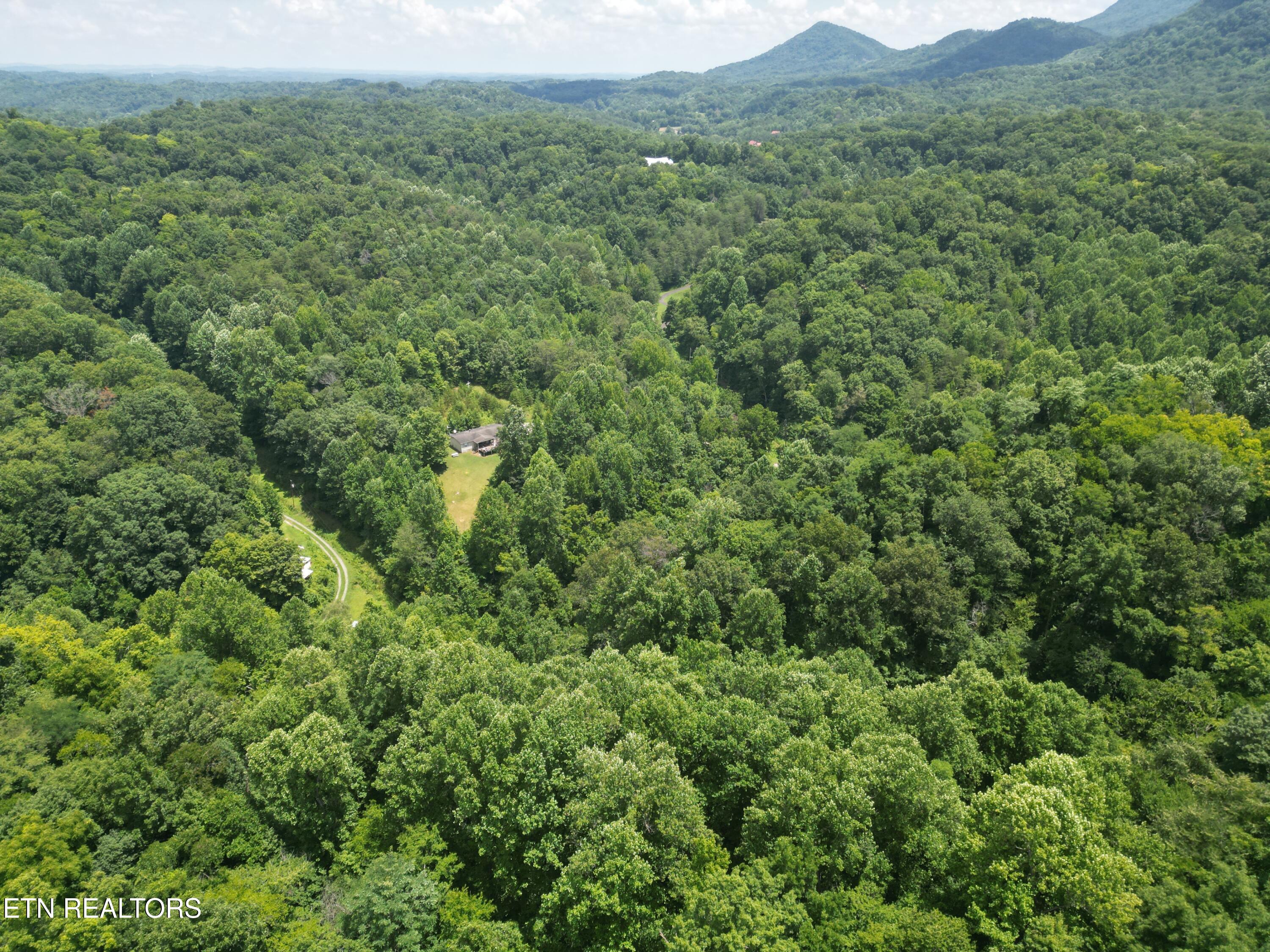 1566 Hawk Lane Seymour TN 37865