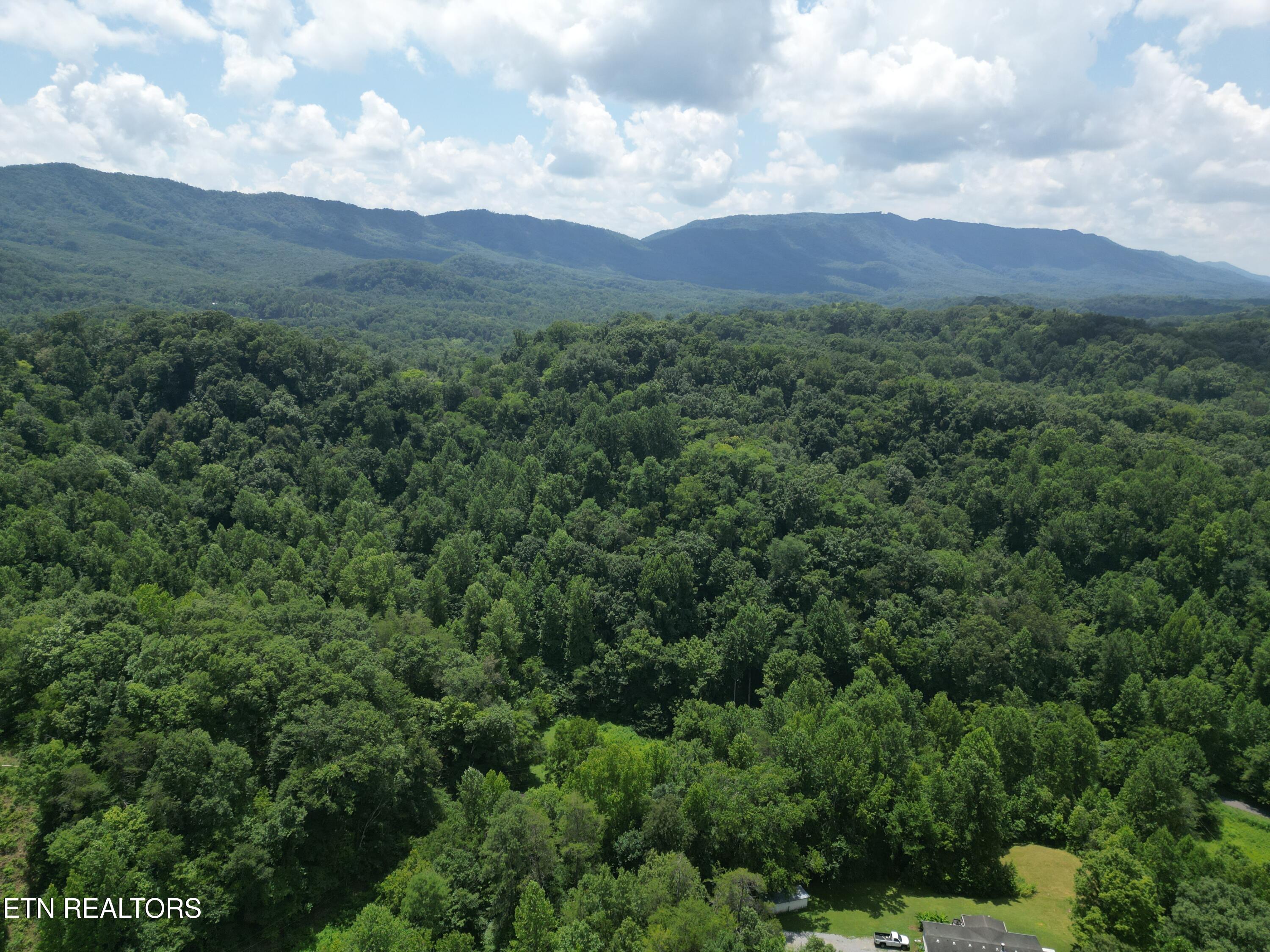 1566 Hawk Lane Seymour TN 37865