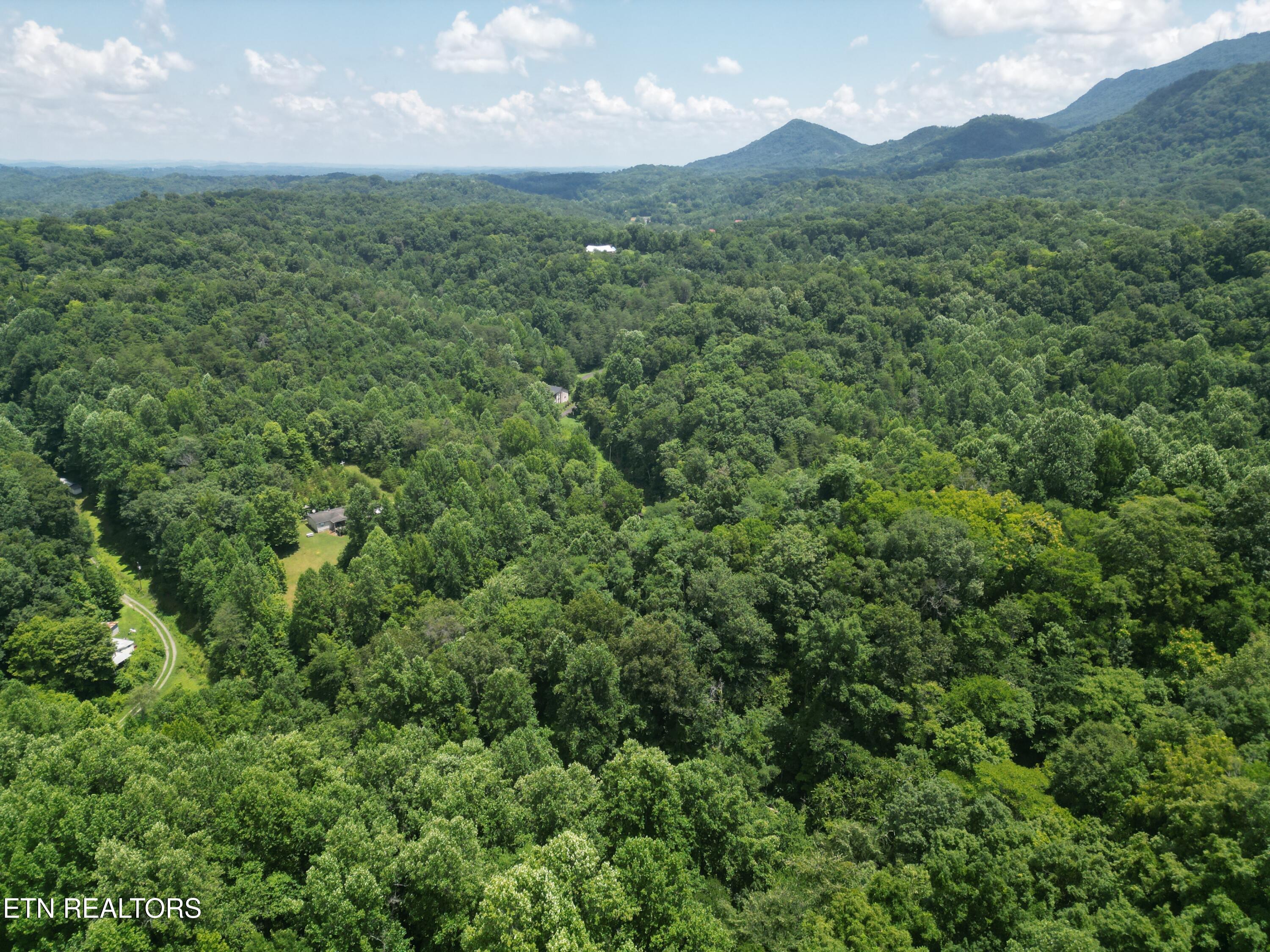 1566 Hawk Lane Seymour TN 37865