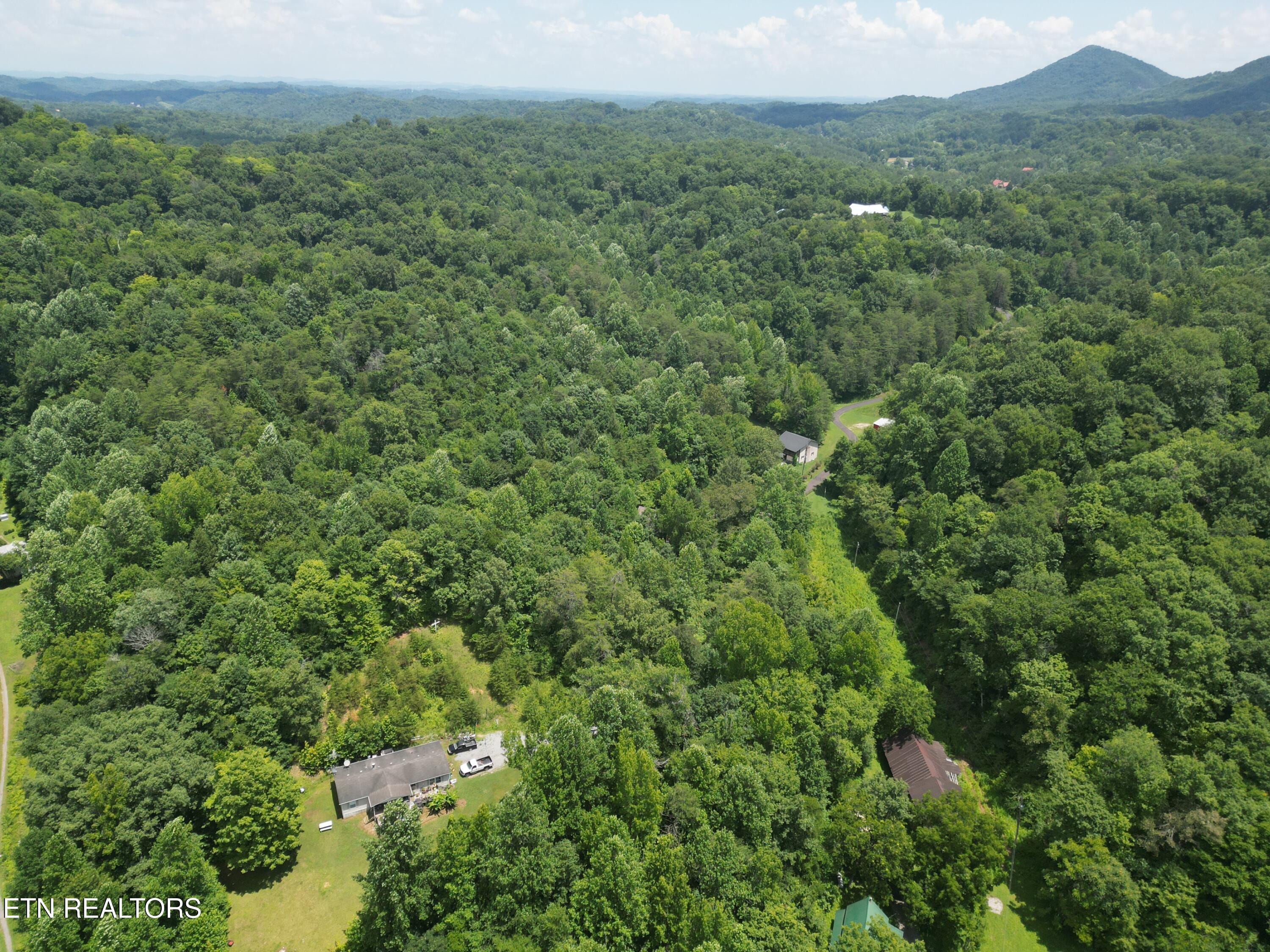 1566 Hawk Lane Seymour TN 37865