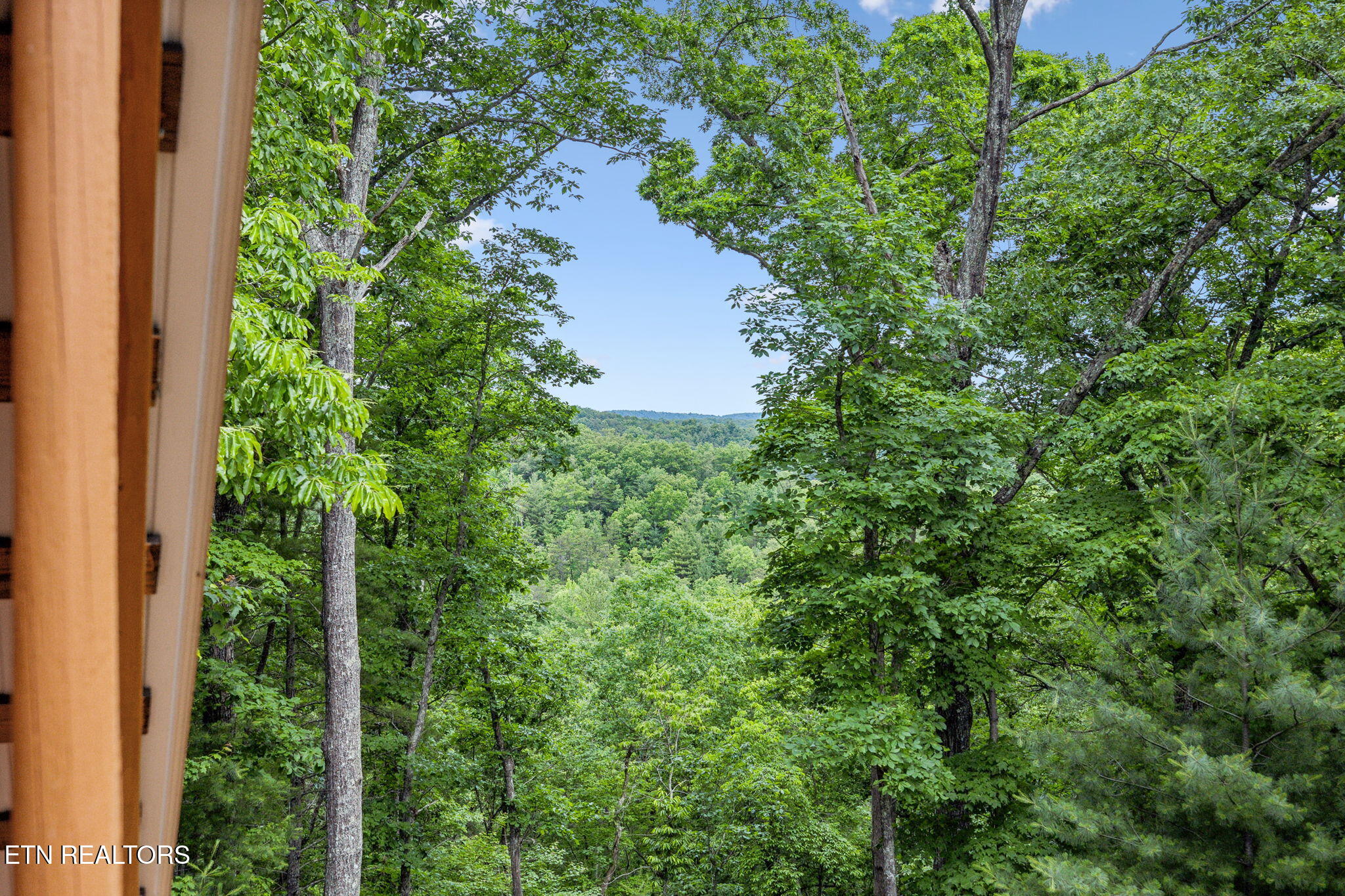 195 Gold Miners Road Tellico Plains TN 37385