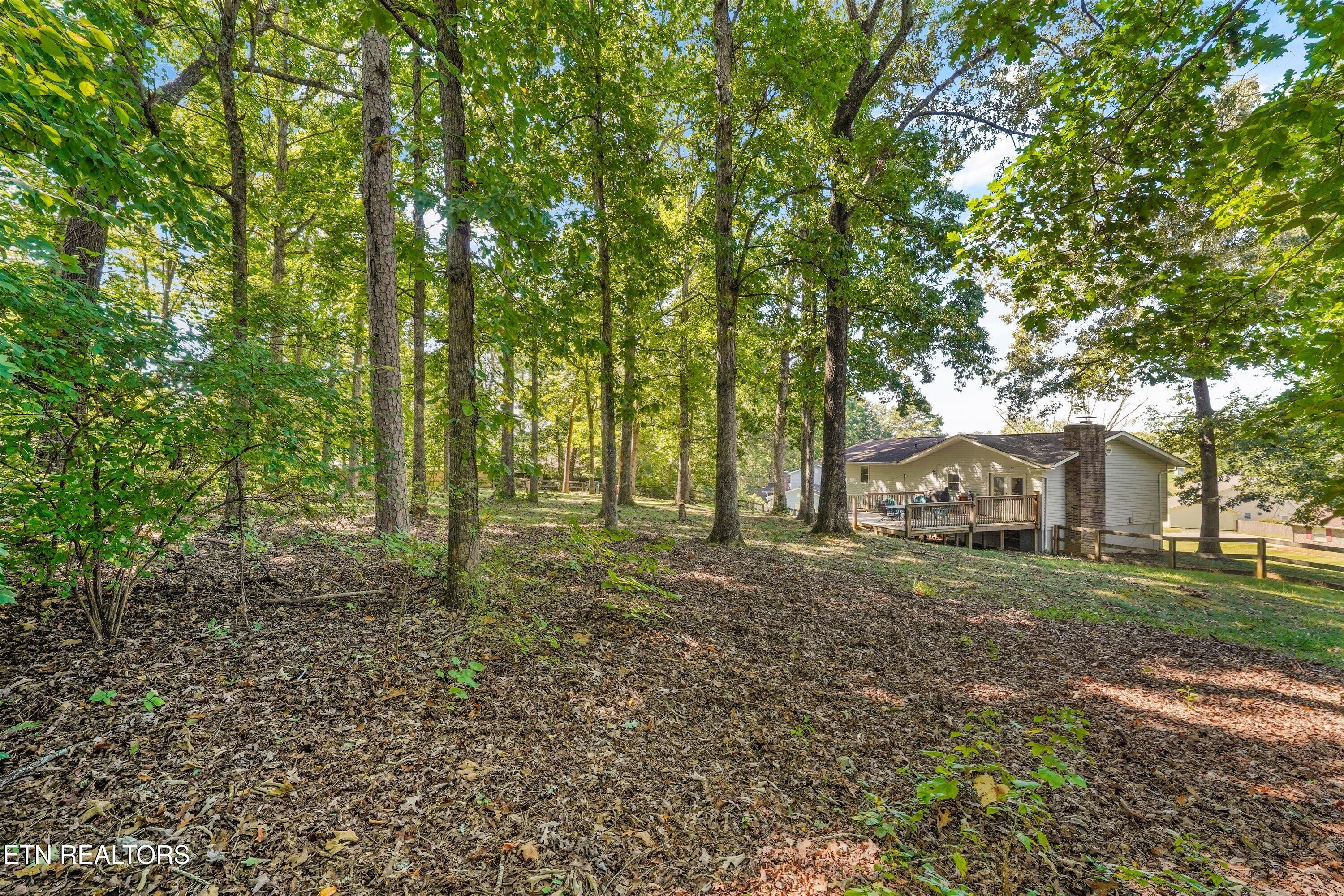 8804 Mallow Drive Knoxville TN 37922