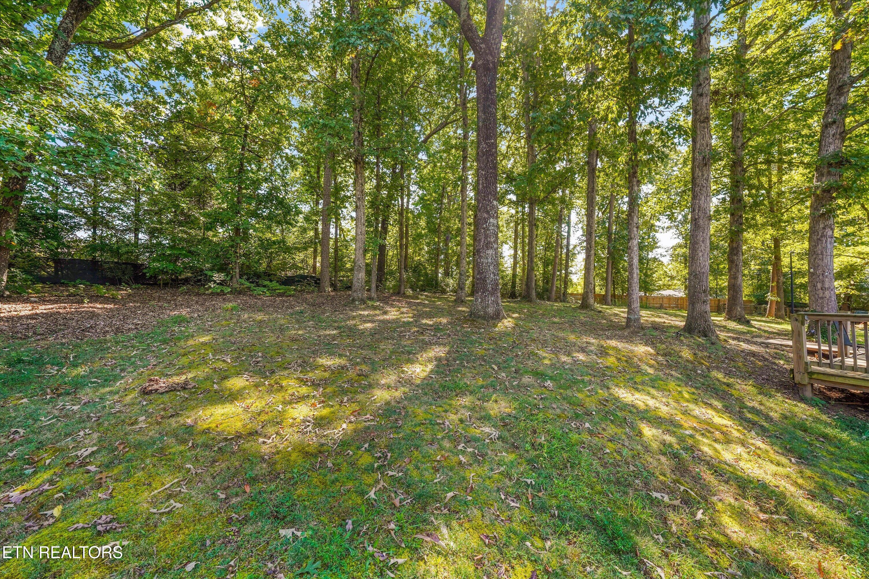 8804 Mallow Drive Knoxville TN 37922