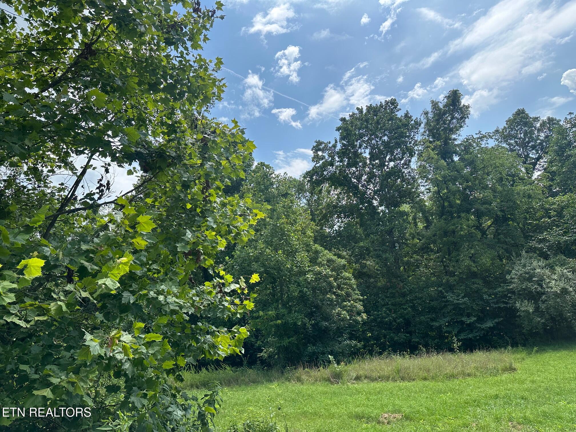 233 Watkins Lane Jacksboro TN 37757