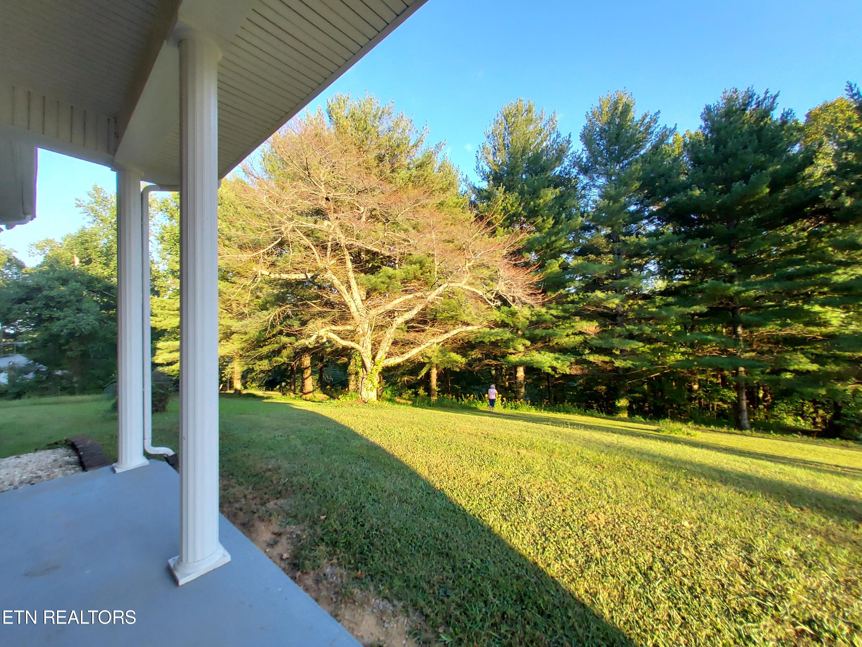 379 Luther Villa Road Sneedville TN 37869