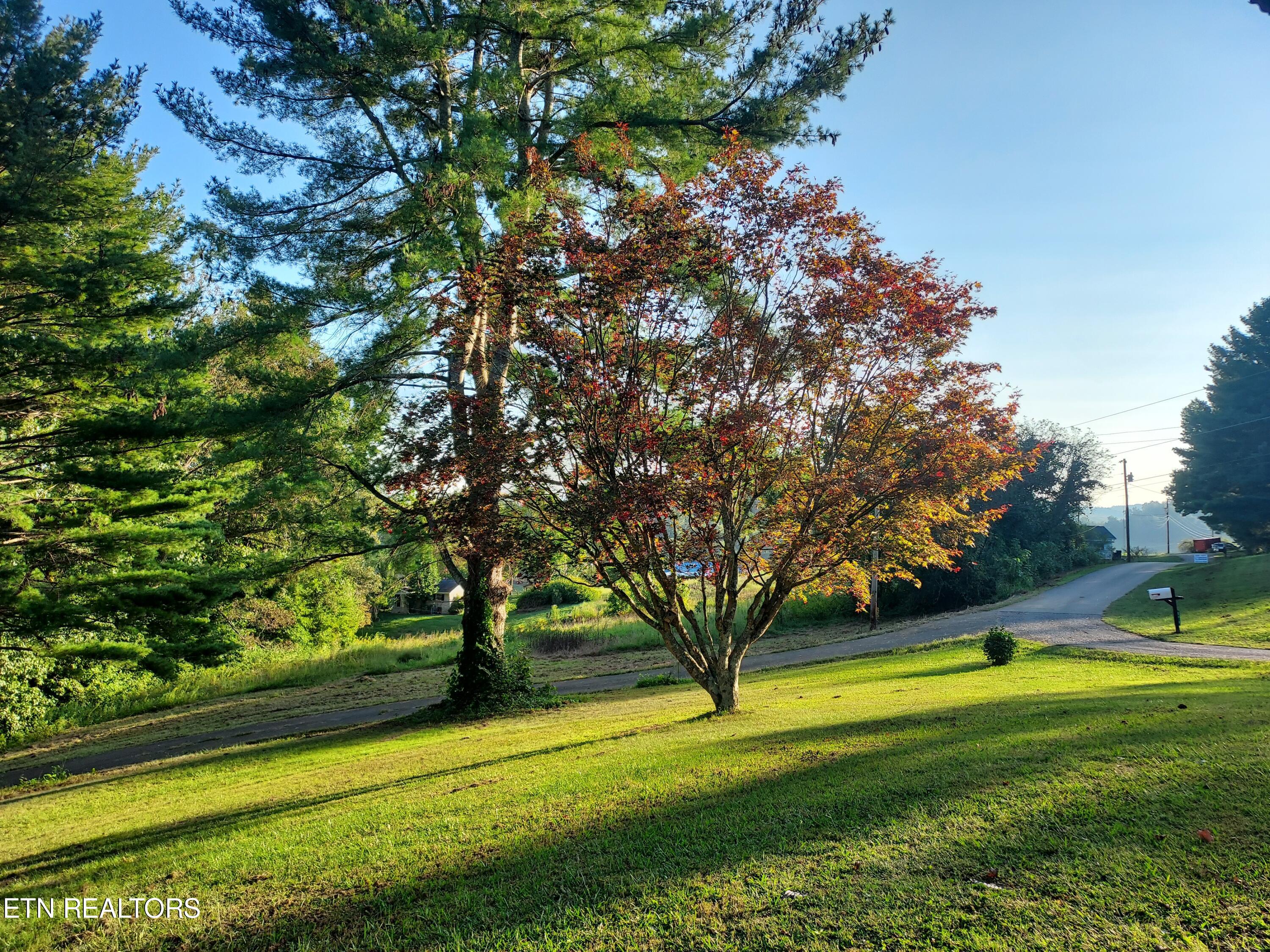 379 Luther Villa Road Sneedville TN 37869