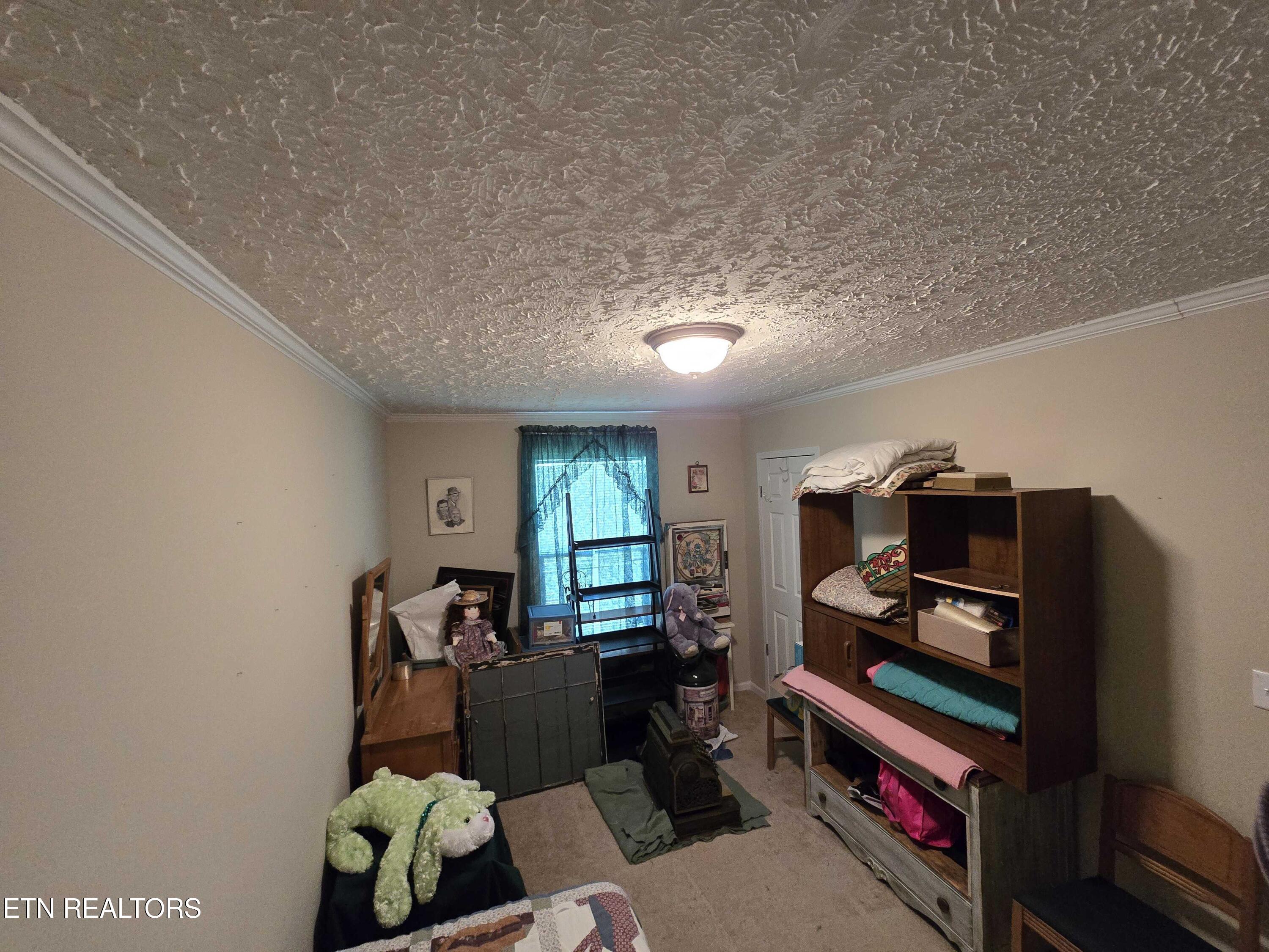 1338 Central Point Road Rutledge TN 37861