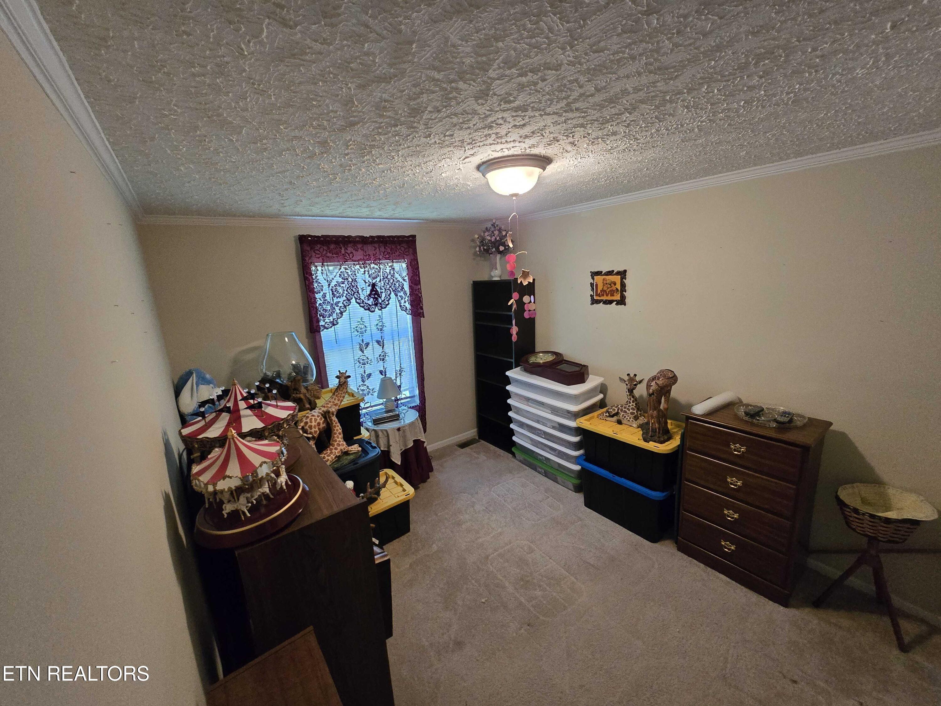 1338 Central Point Road Rutledge TN 37861