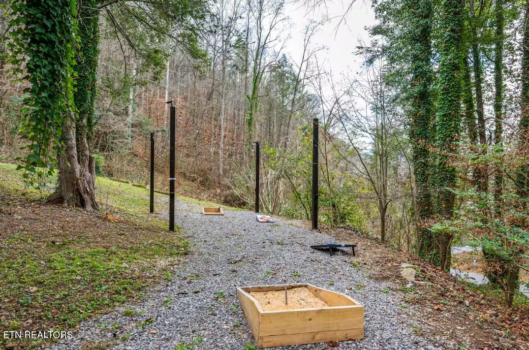 302 Newman Road Gatlinburg TN 37738