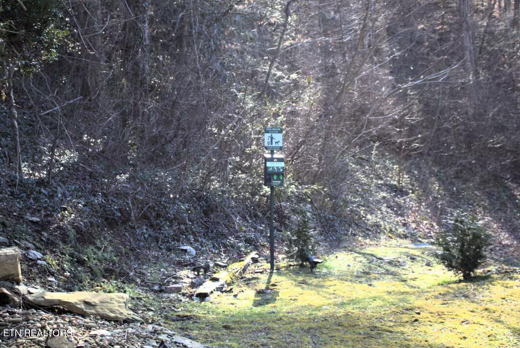 302 Newman Road Gatlinburg TN 37738