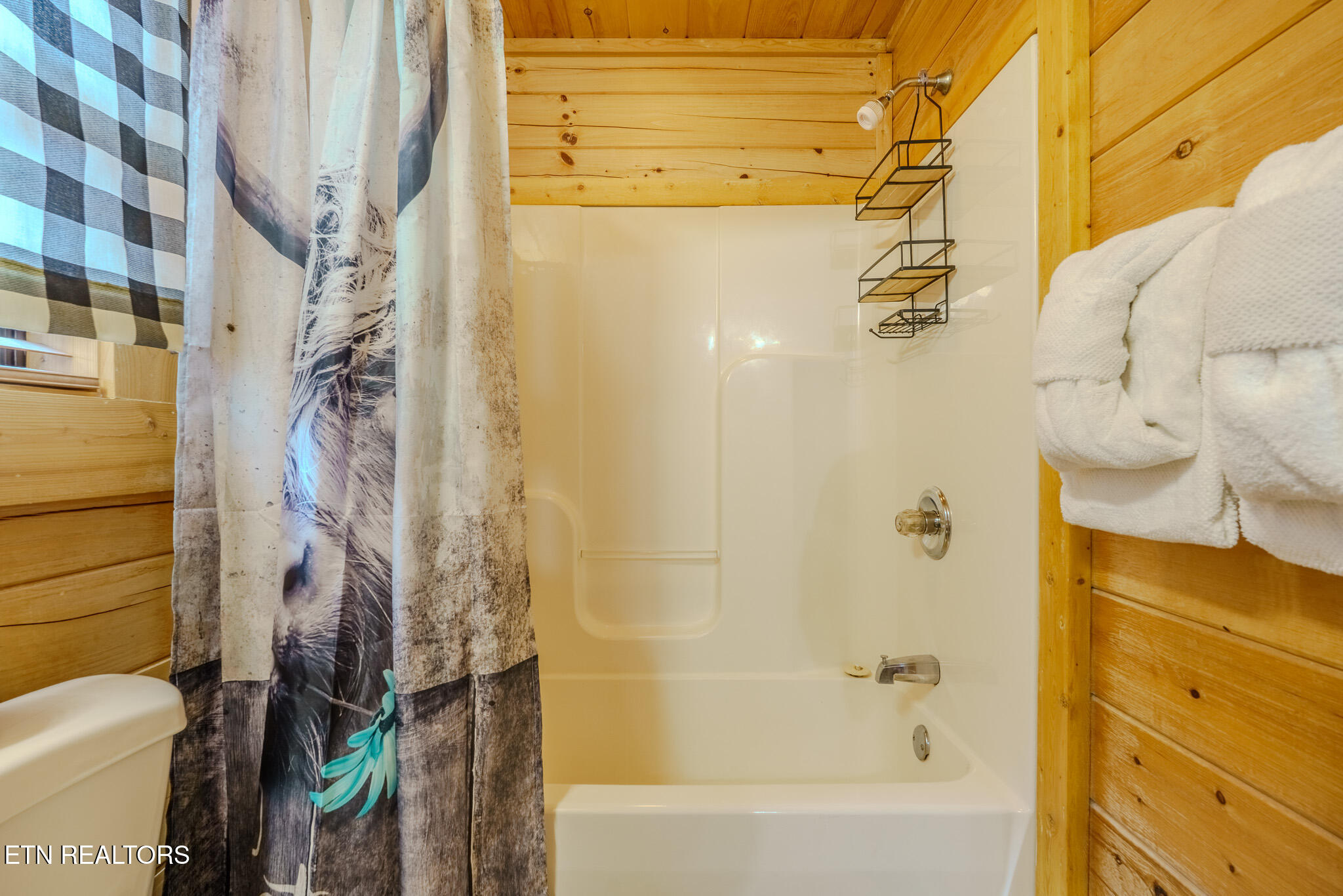 2010 Bear Creek Way Pigeon Forge TN 37862