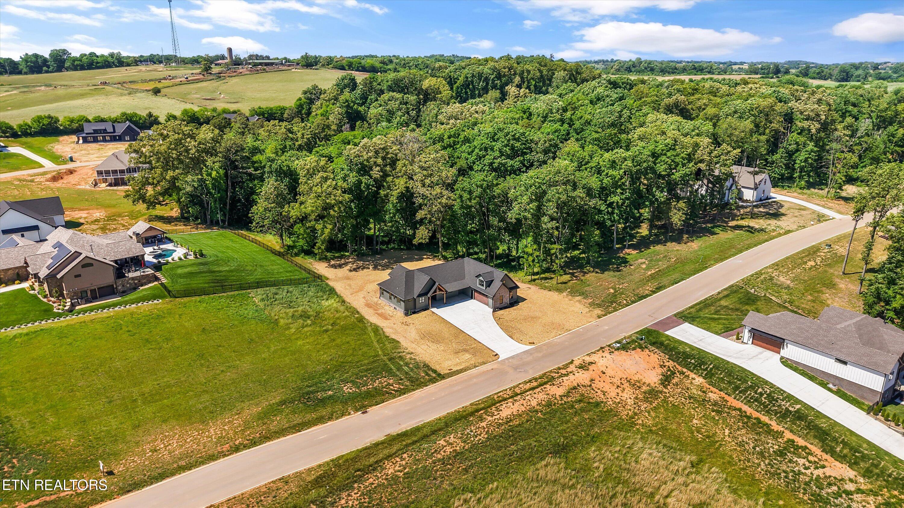 1209 Kellys View Drive Greenback TN 37742