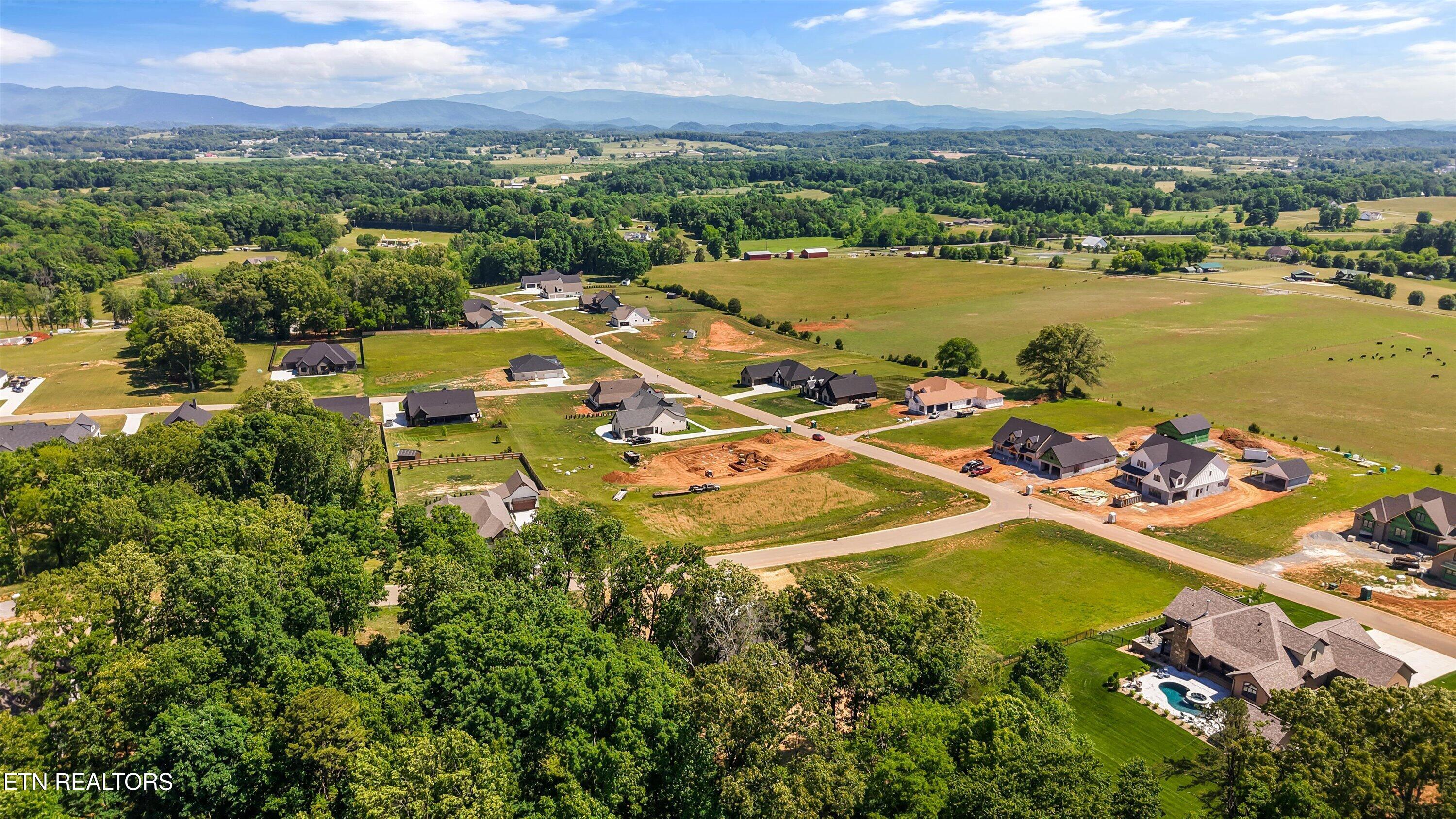 1209 Kellys View Drive Greenback TN 37742
