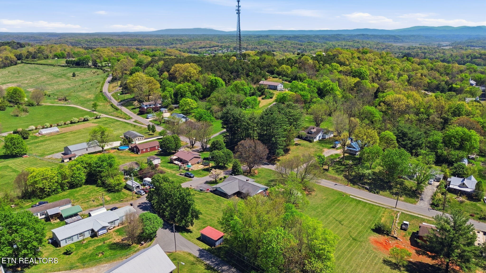 1605 College Street White Pine TN 37890