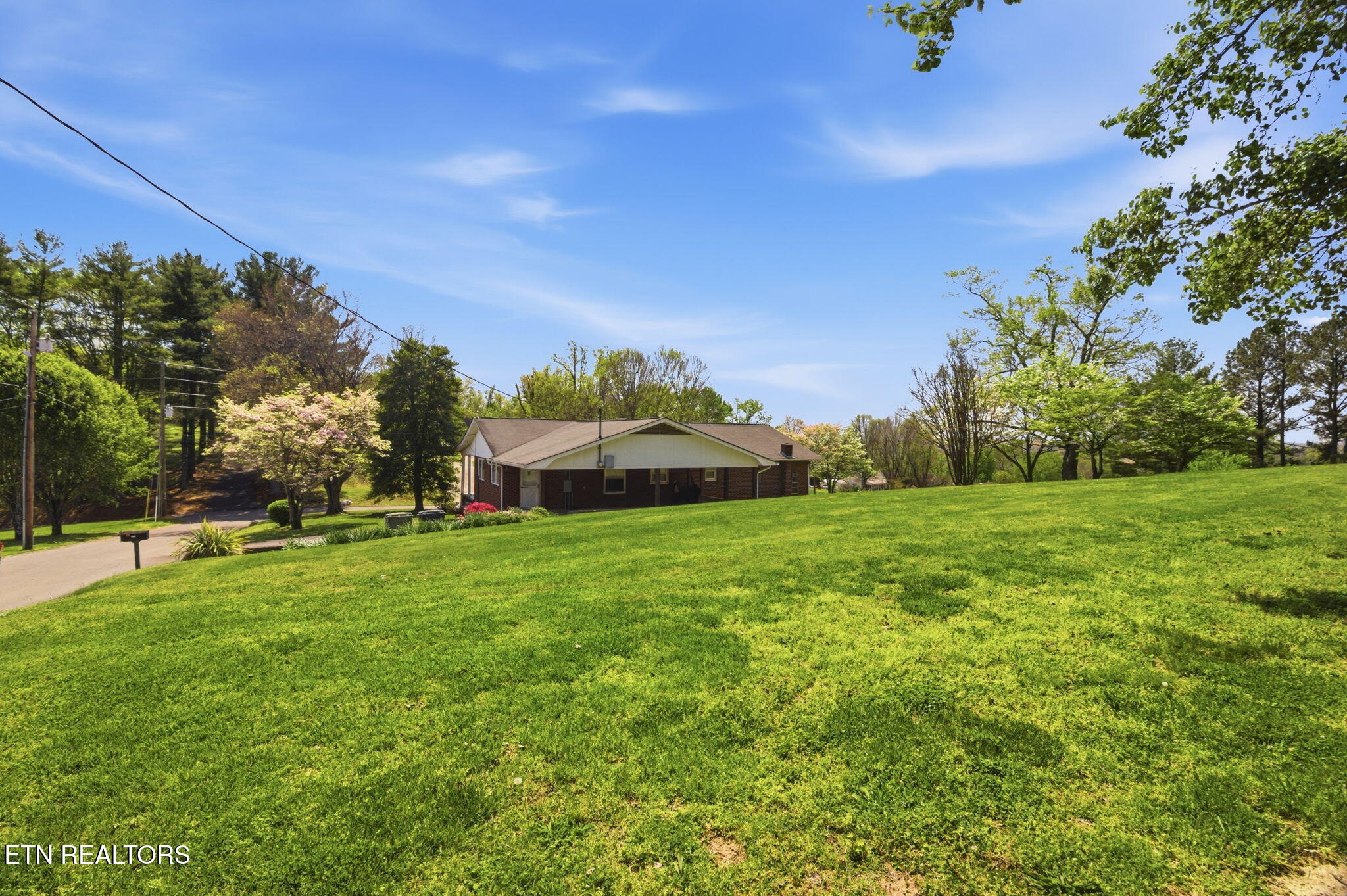 1605 College Street White Pine TN 37890