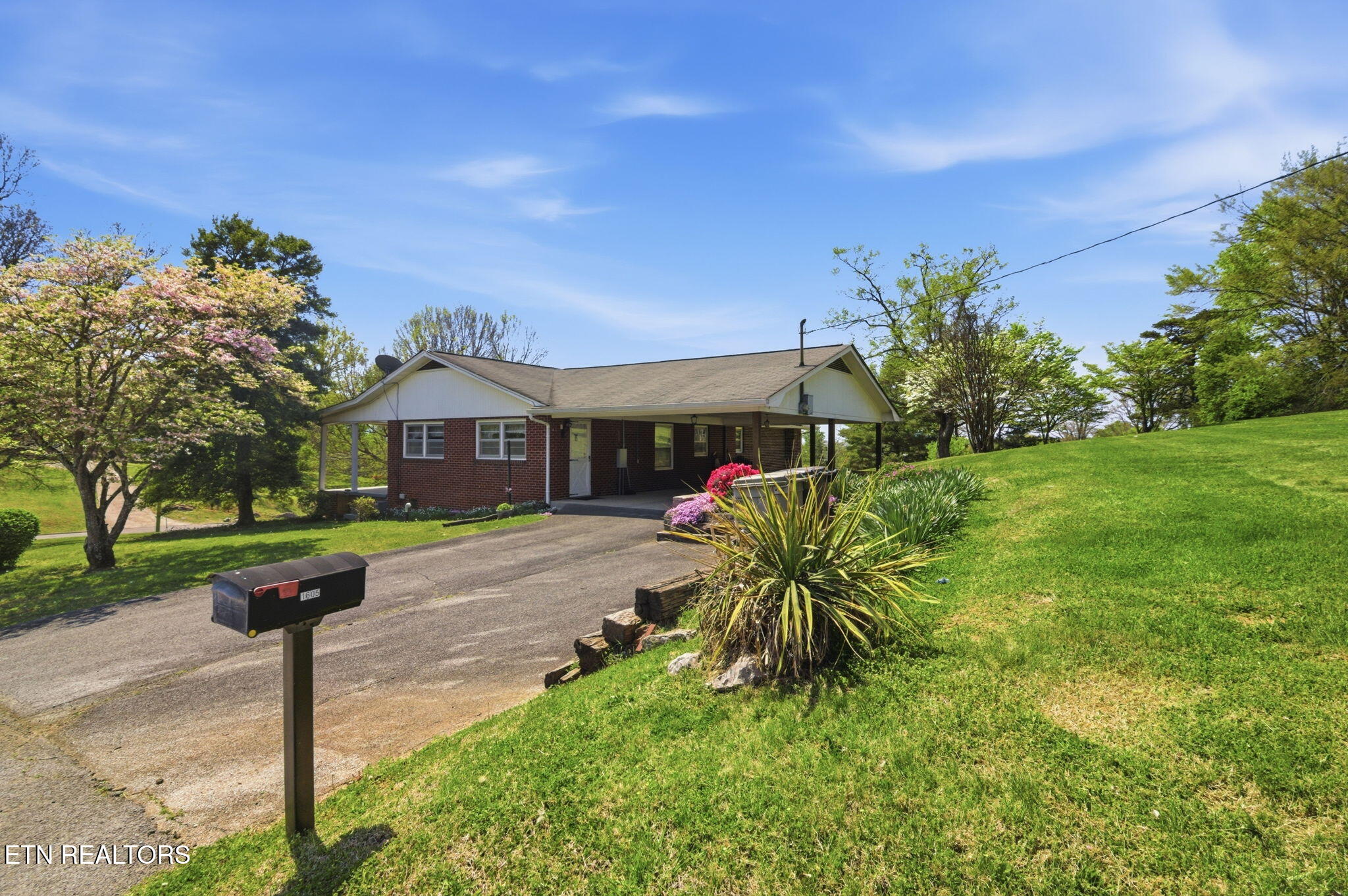 1605 College Street White Pine TN 37890