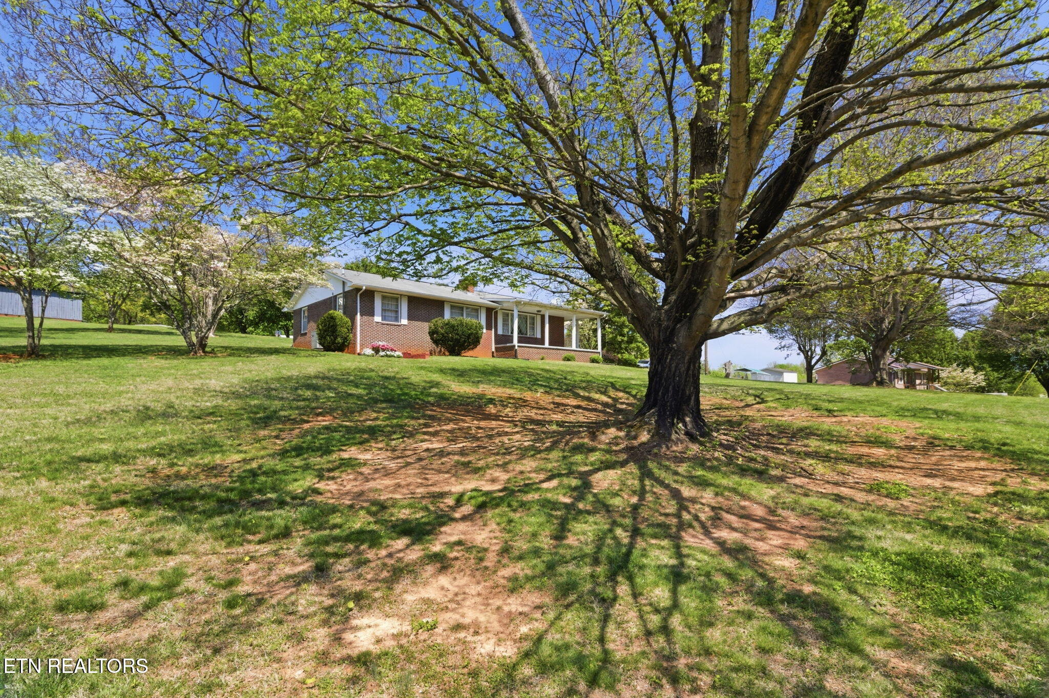 1605 College Street White Pine TN 37890