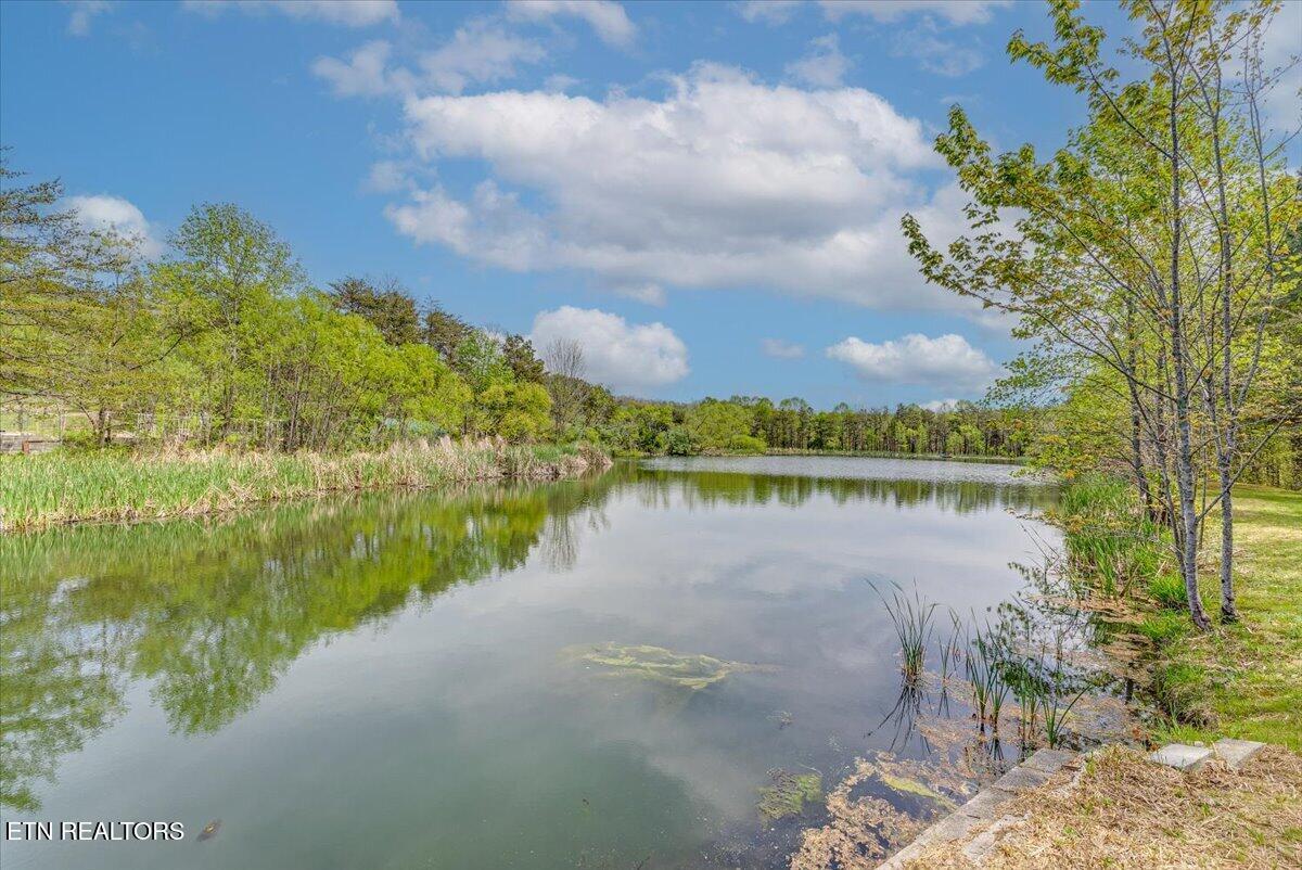 67 Lady Slipper Road Dunlap TN 37327