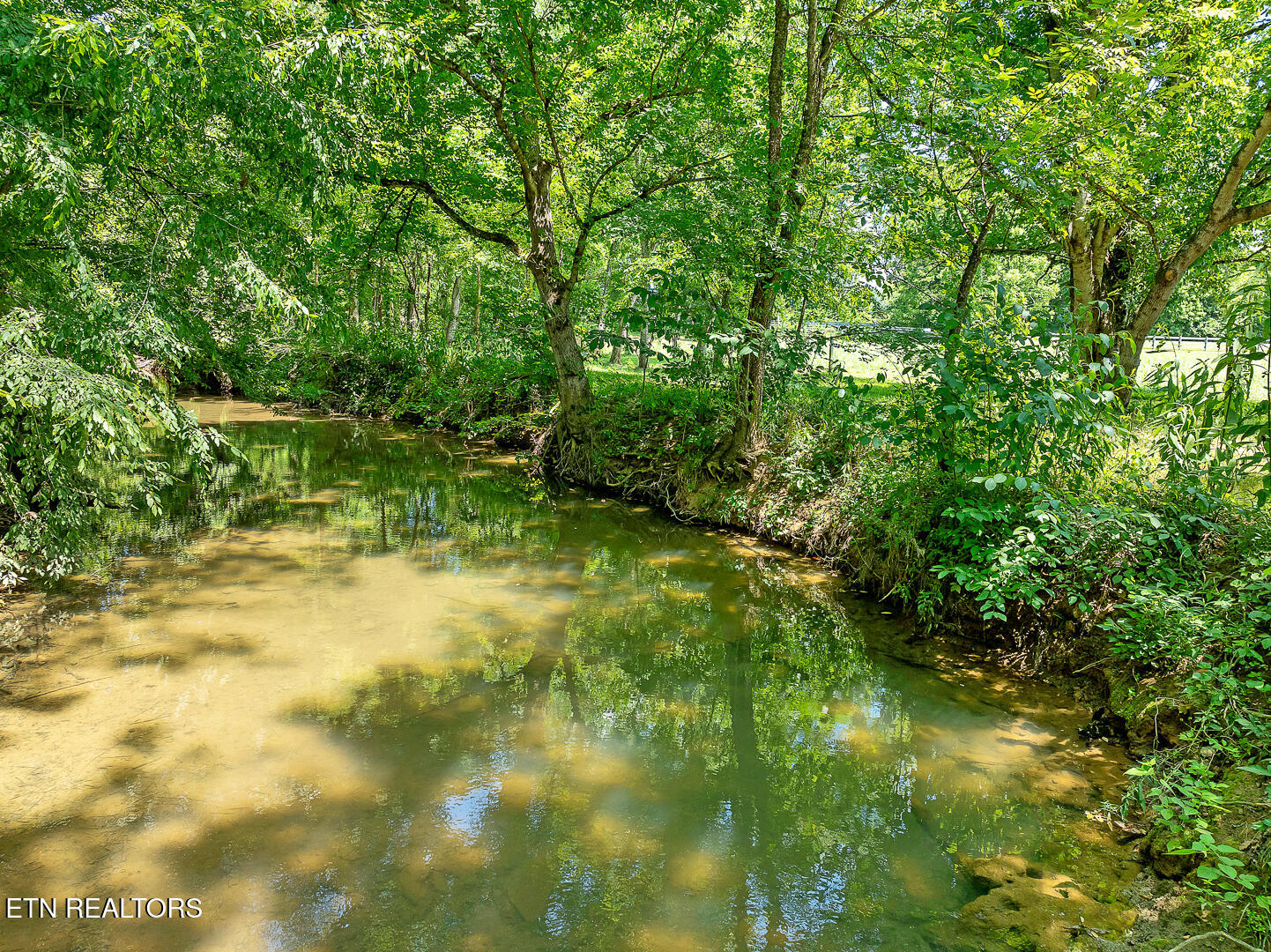 1565 Ellejoy Road Seymour TN 37865