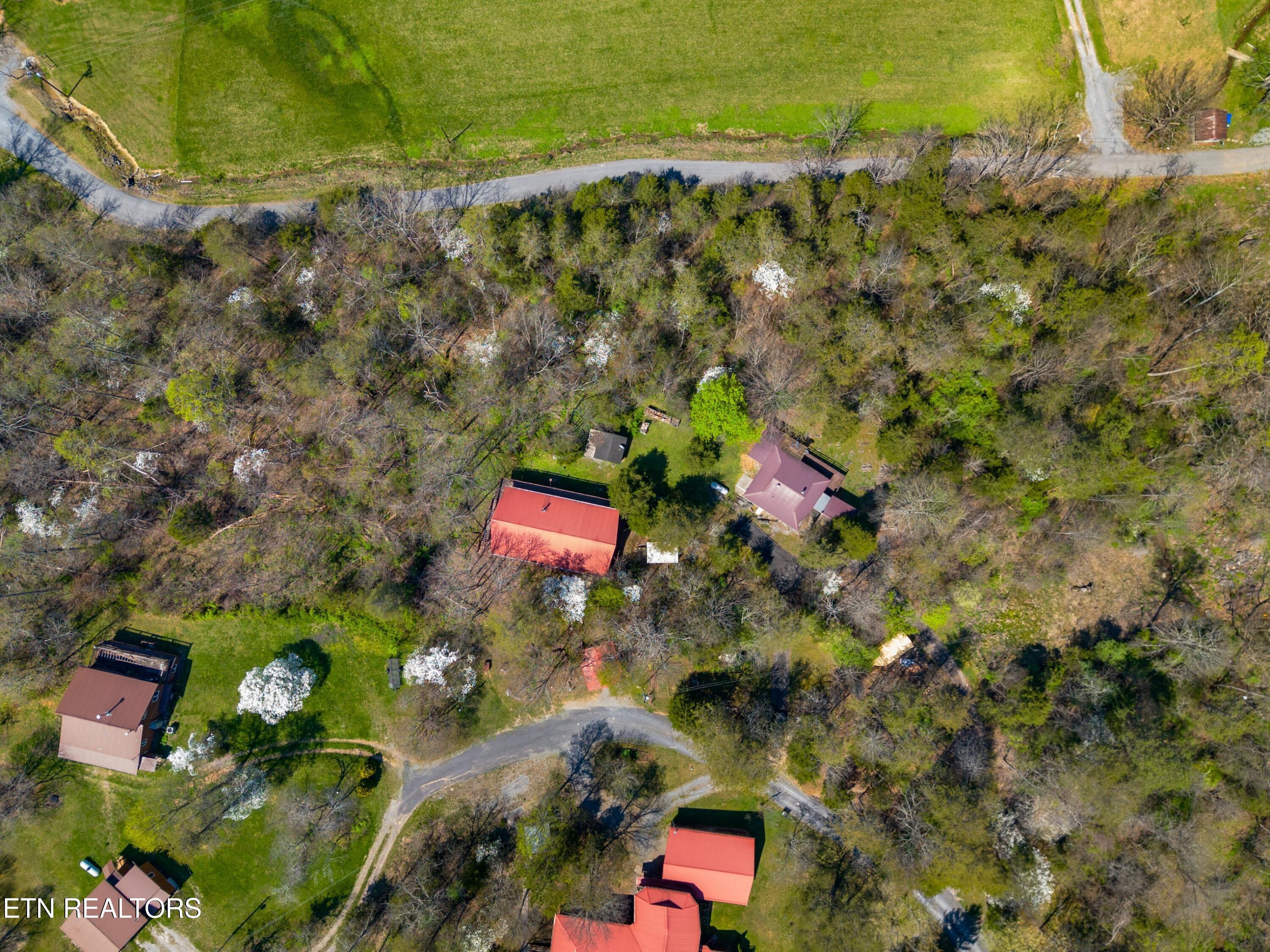 158 Dalson Road Eidson TN 37731