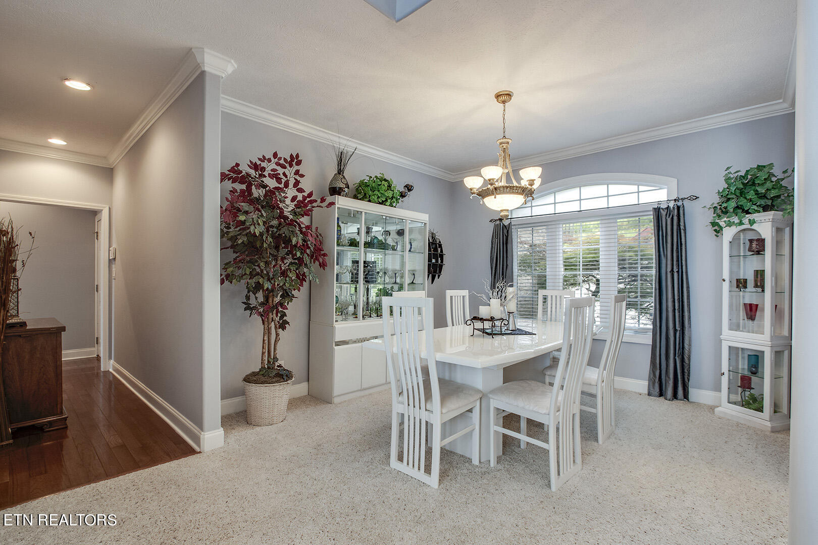 524 Bonne Vista Drive White Pine TN 37890