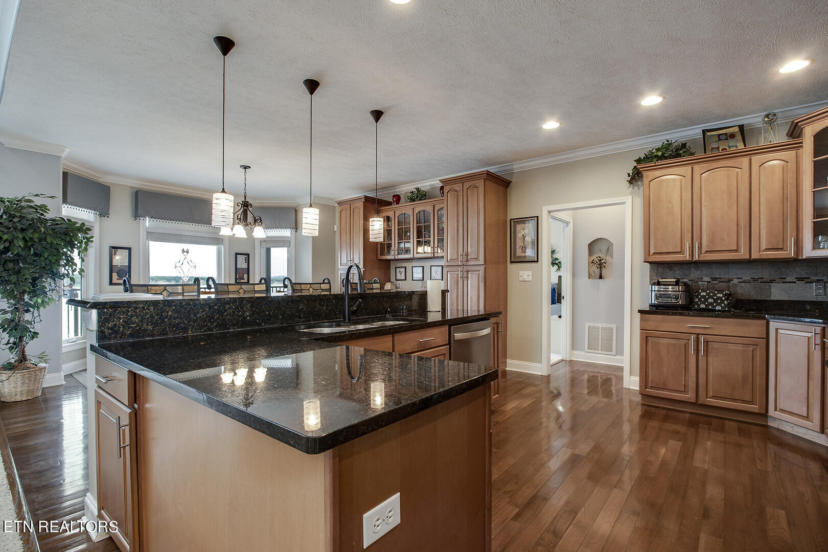 524 Bonne Vista Drive White Pine TN 37890